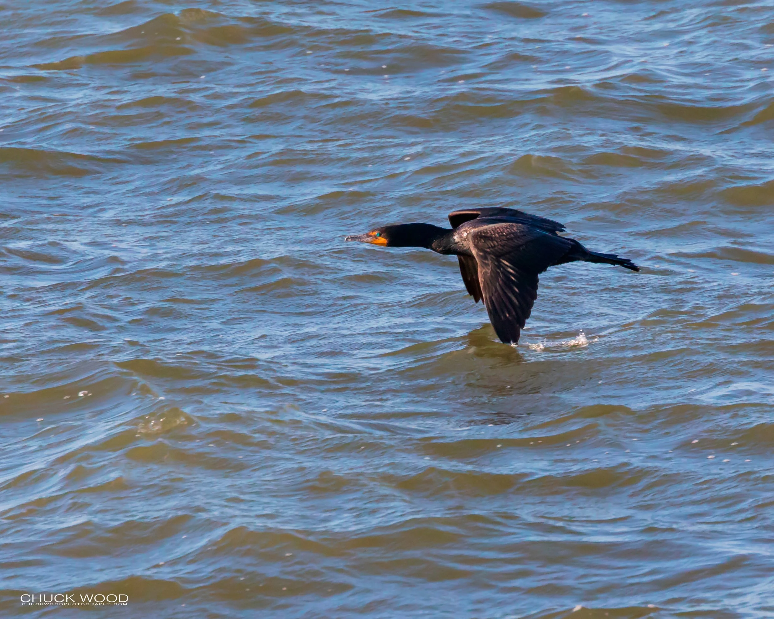  Hudson River, NY 2019 