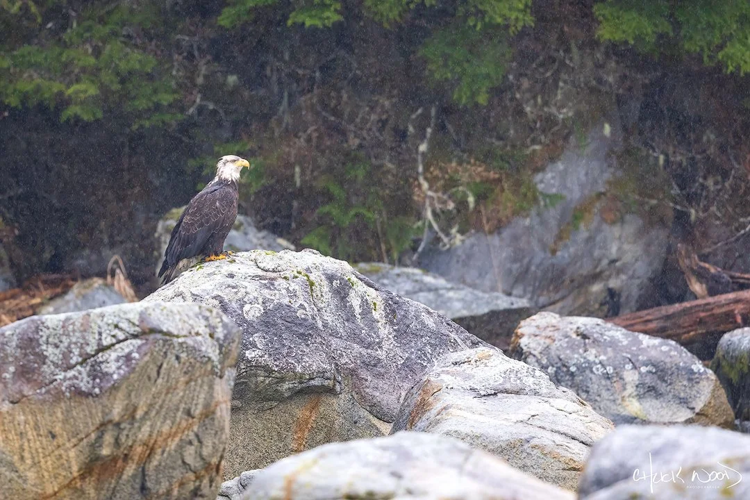  Sitka, AK 2024 