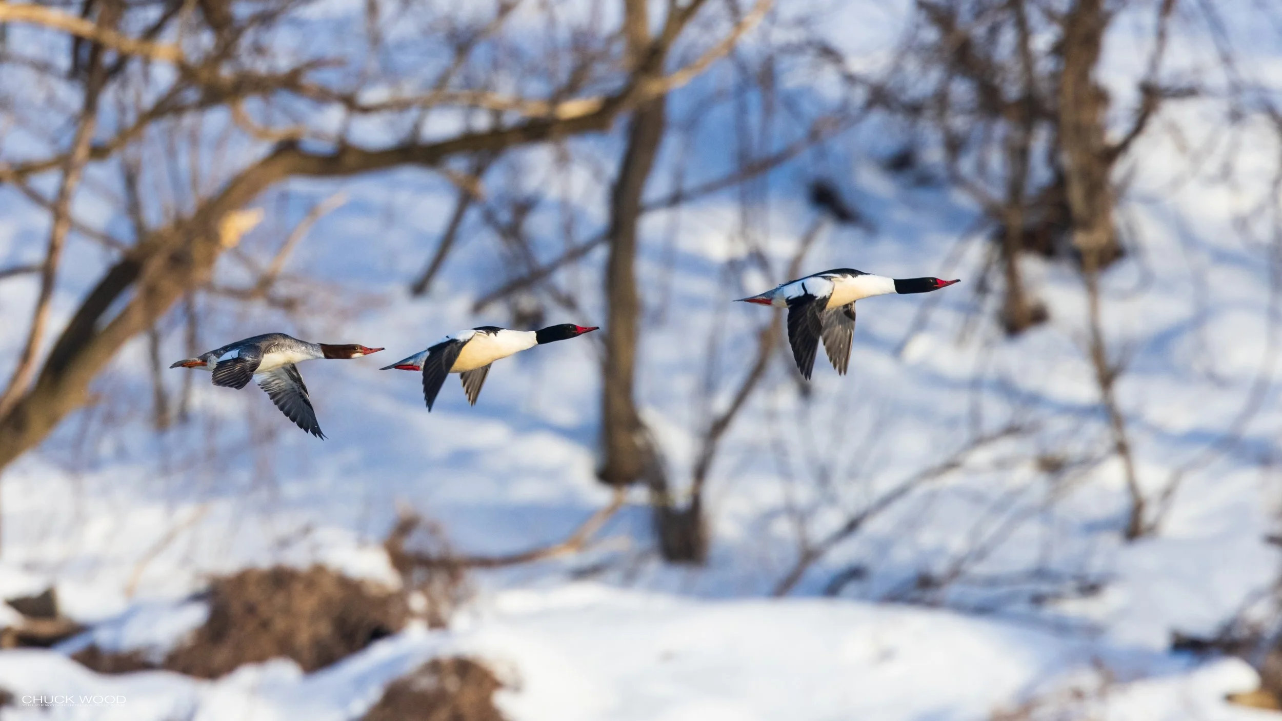  Hackensack River, NJ 2021 