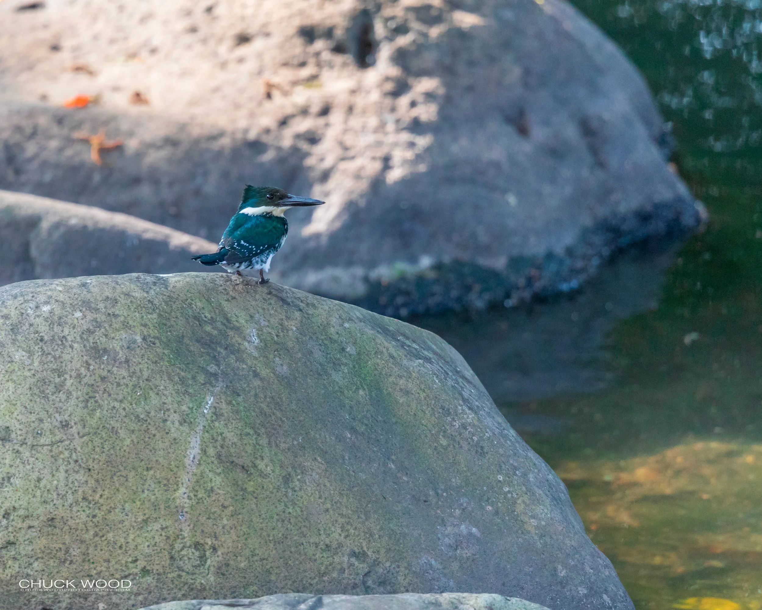  Tuis River Valley, Costa Rica 2020 