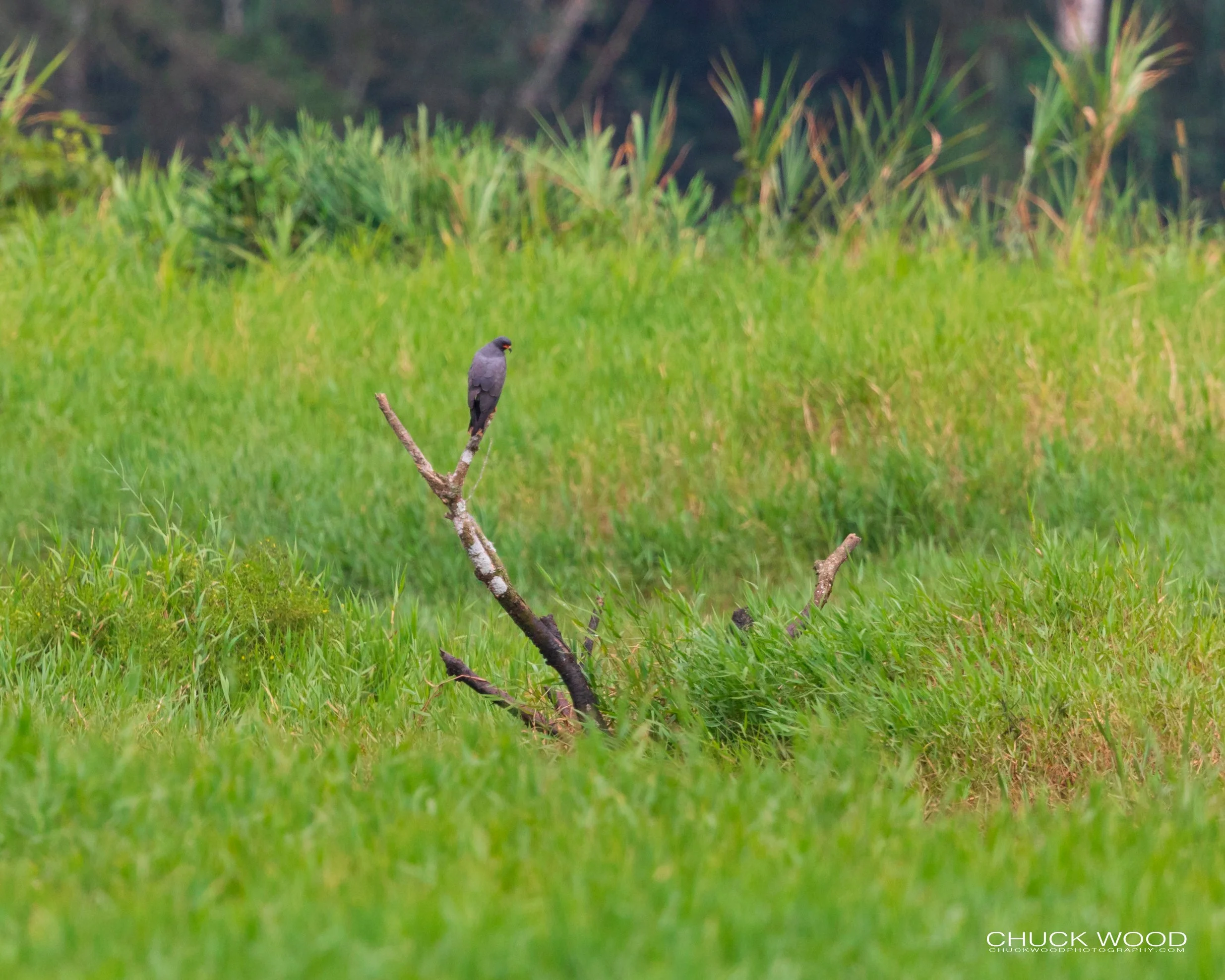  Embalse Angostura, Costa Rice 2020 