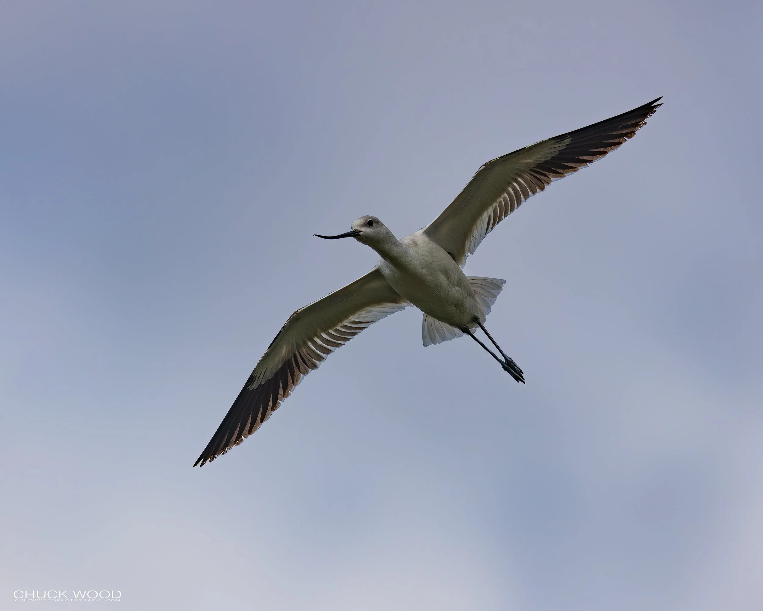  Puente de Hierro Oaxaca, MX 2022 