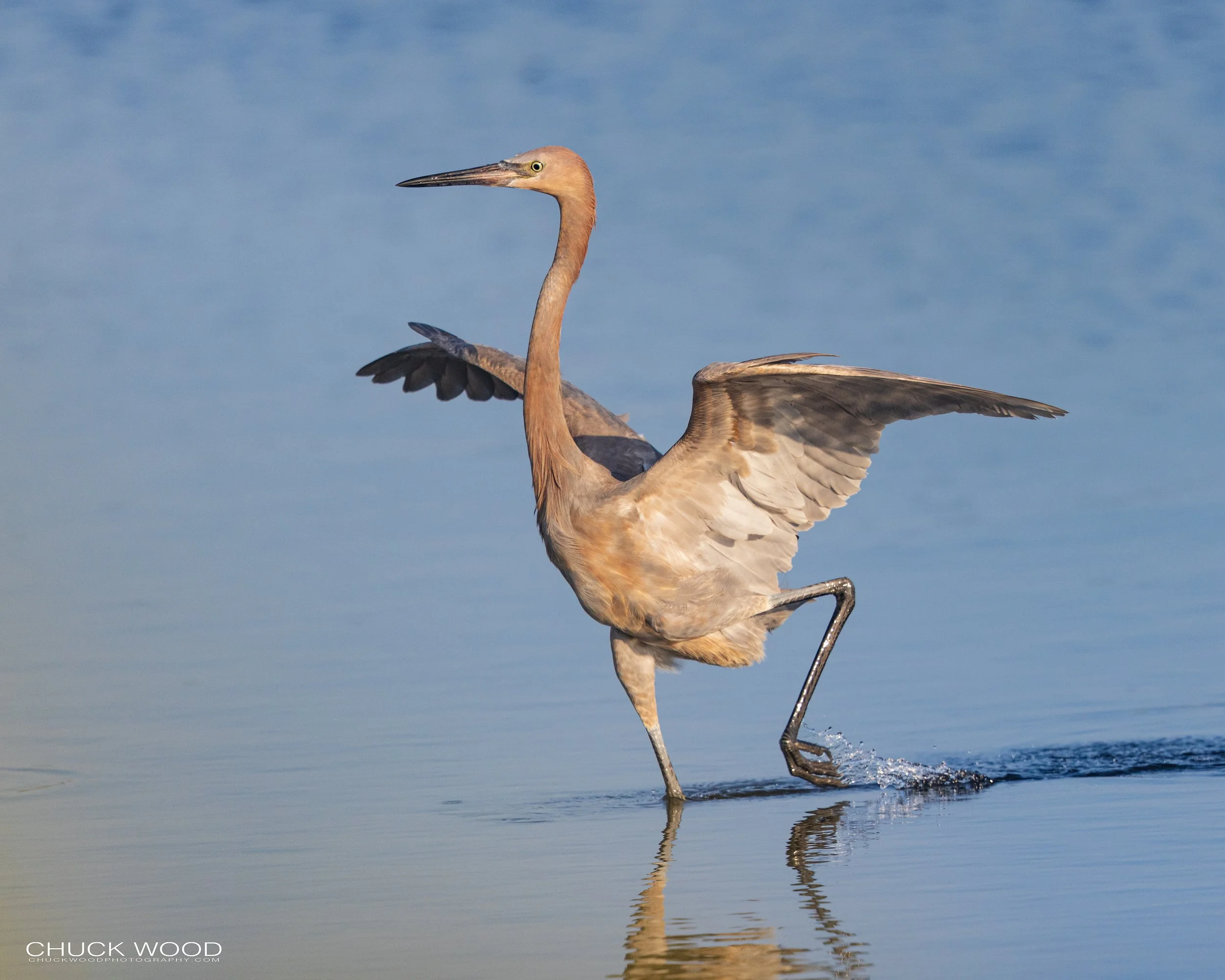  Merritt Island, FL 2022 