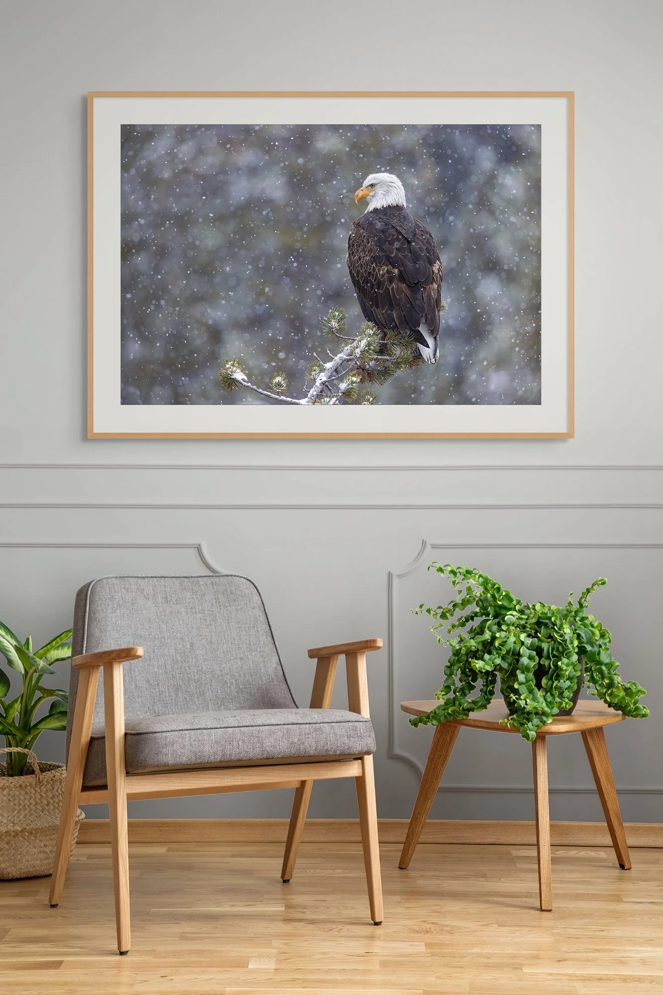 CW00618-Bald-Eagle-Gibbon-River-2026-chair.jpg