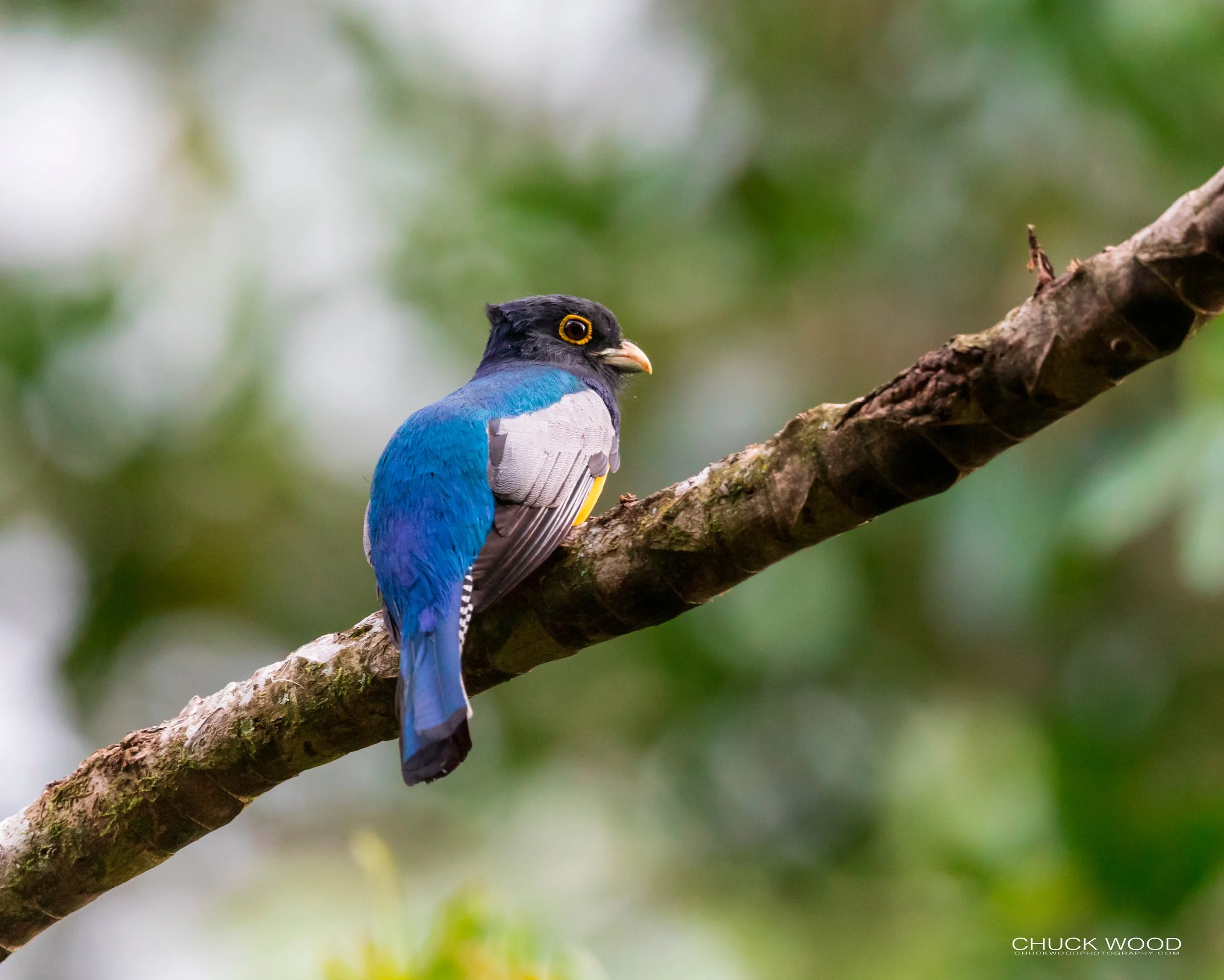  Embalse Angostura, Costa Rica 2020 