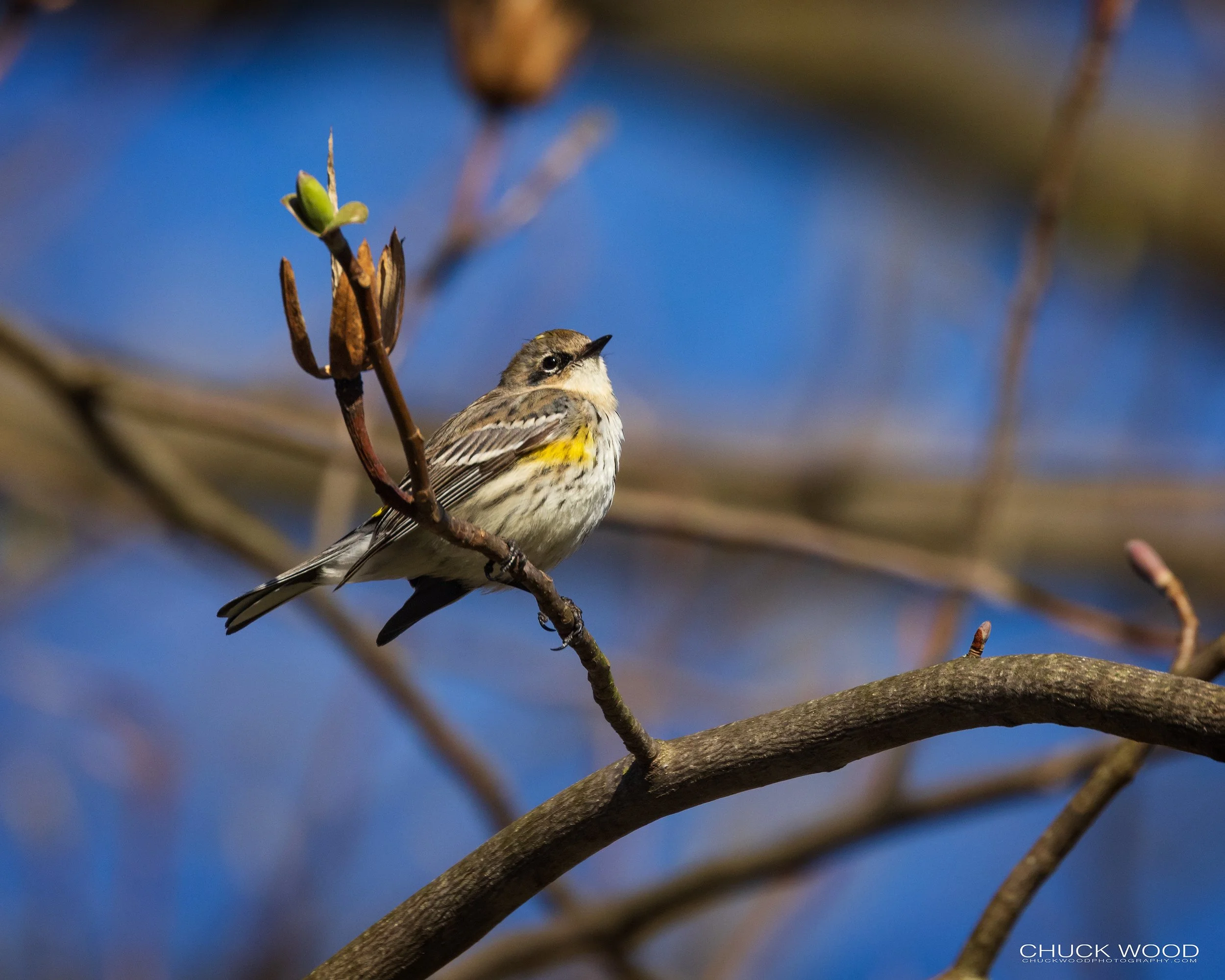  Fireman's Eddy, NJ 2022 