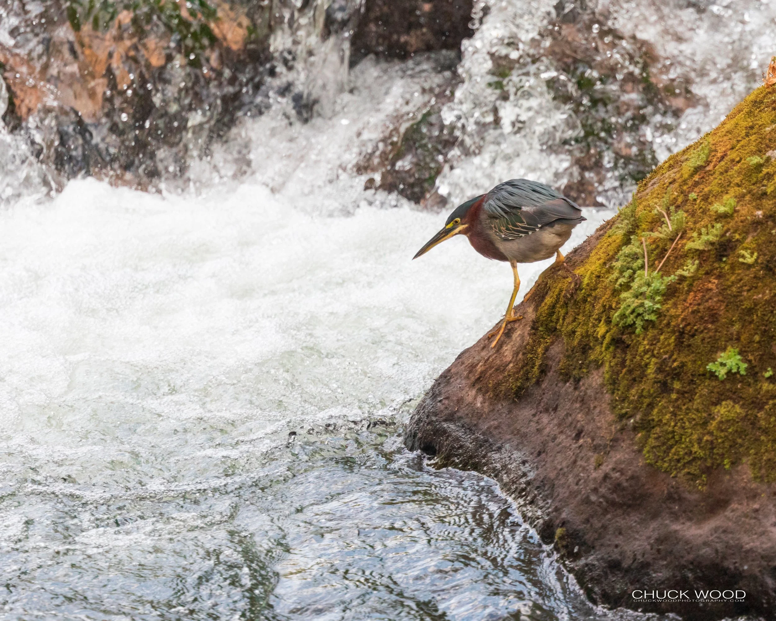  Tuis River Valley, Costa Rica 2020 