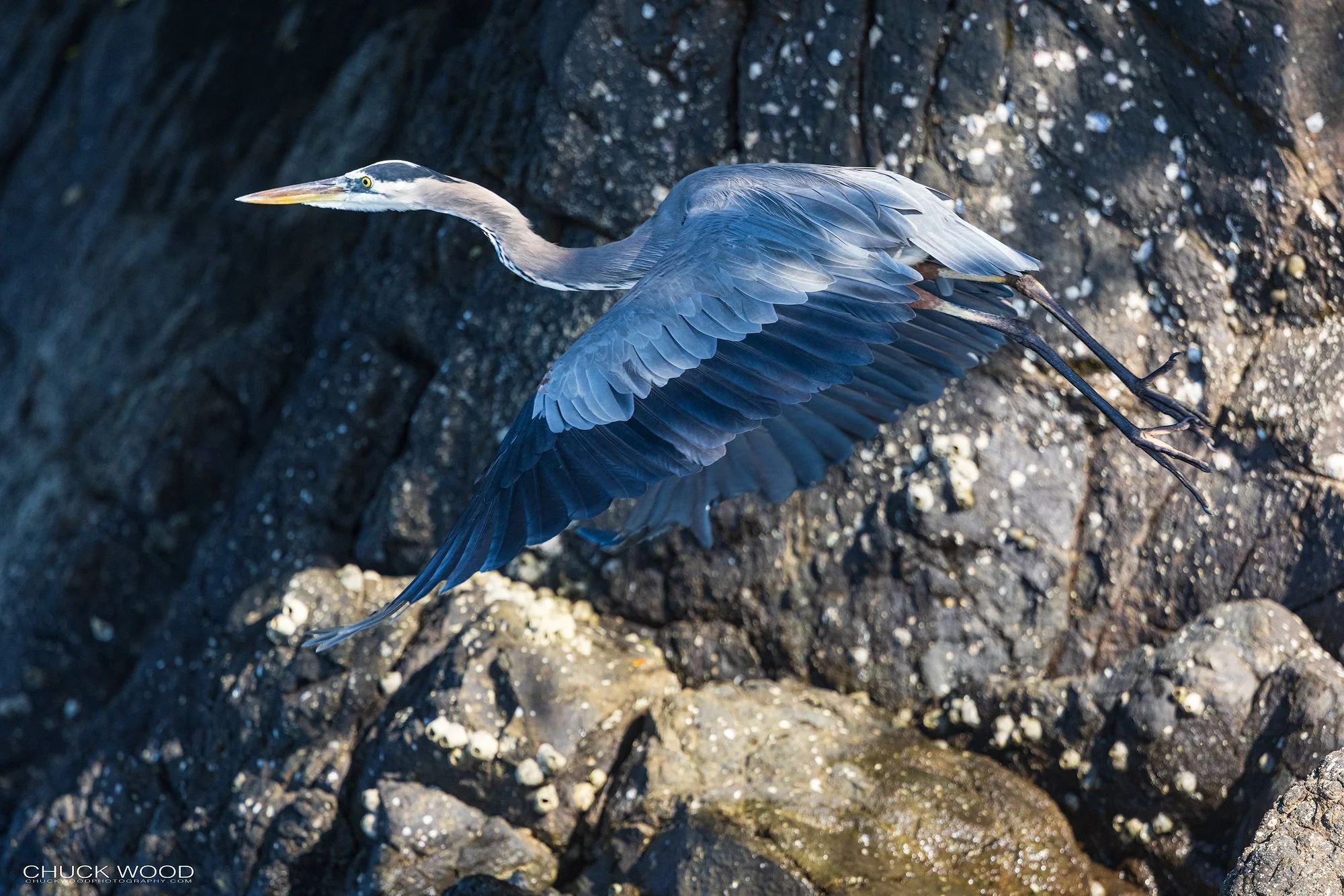  Osa Peninsula, Costa Rica 2022 