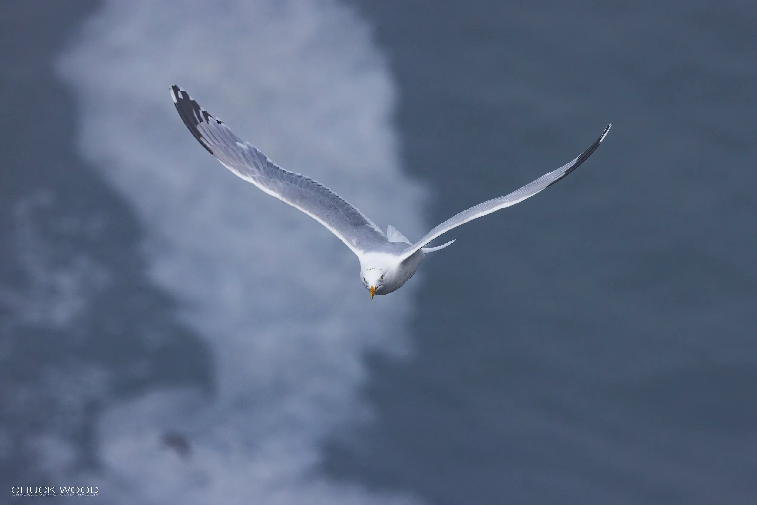  Cape St. Marys, NL 2022 