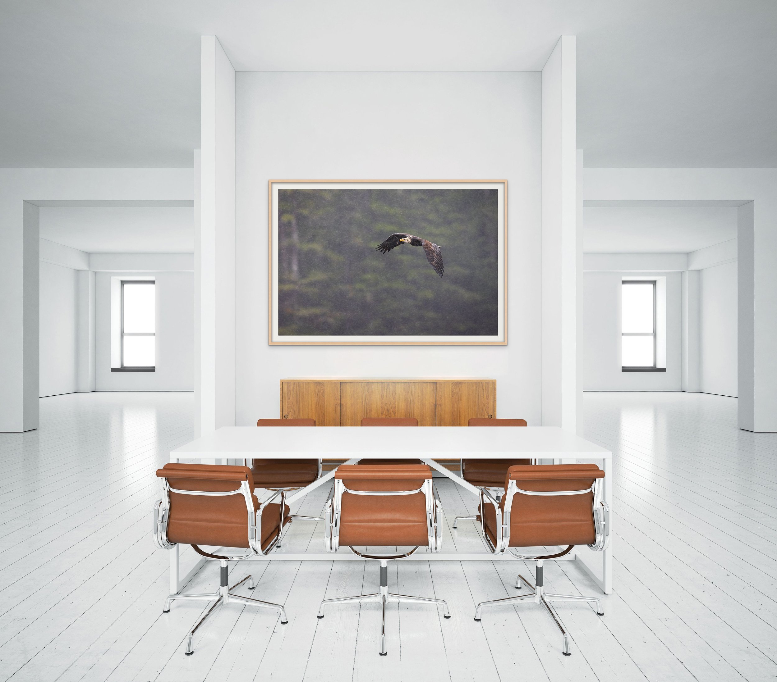 CW00194-Bald-Eagle-Sitka-Rain-2024-Loft-Conference-3000.jpg