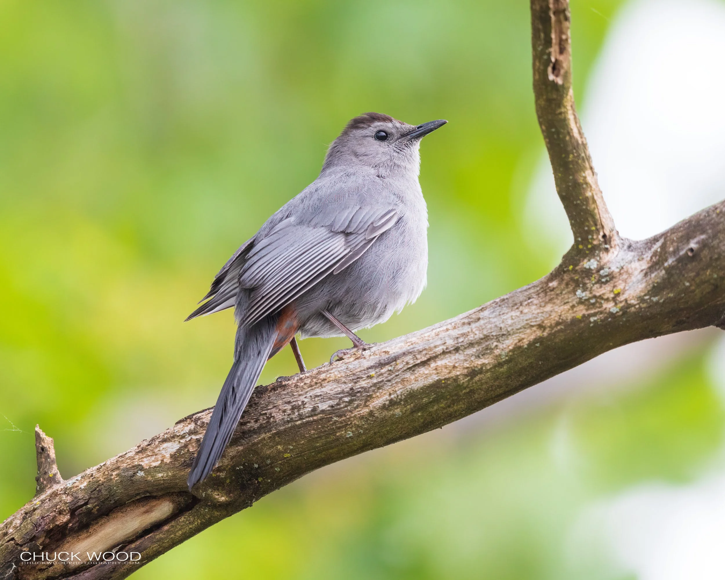  Dekorte Park, NJ 2020 