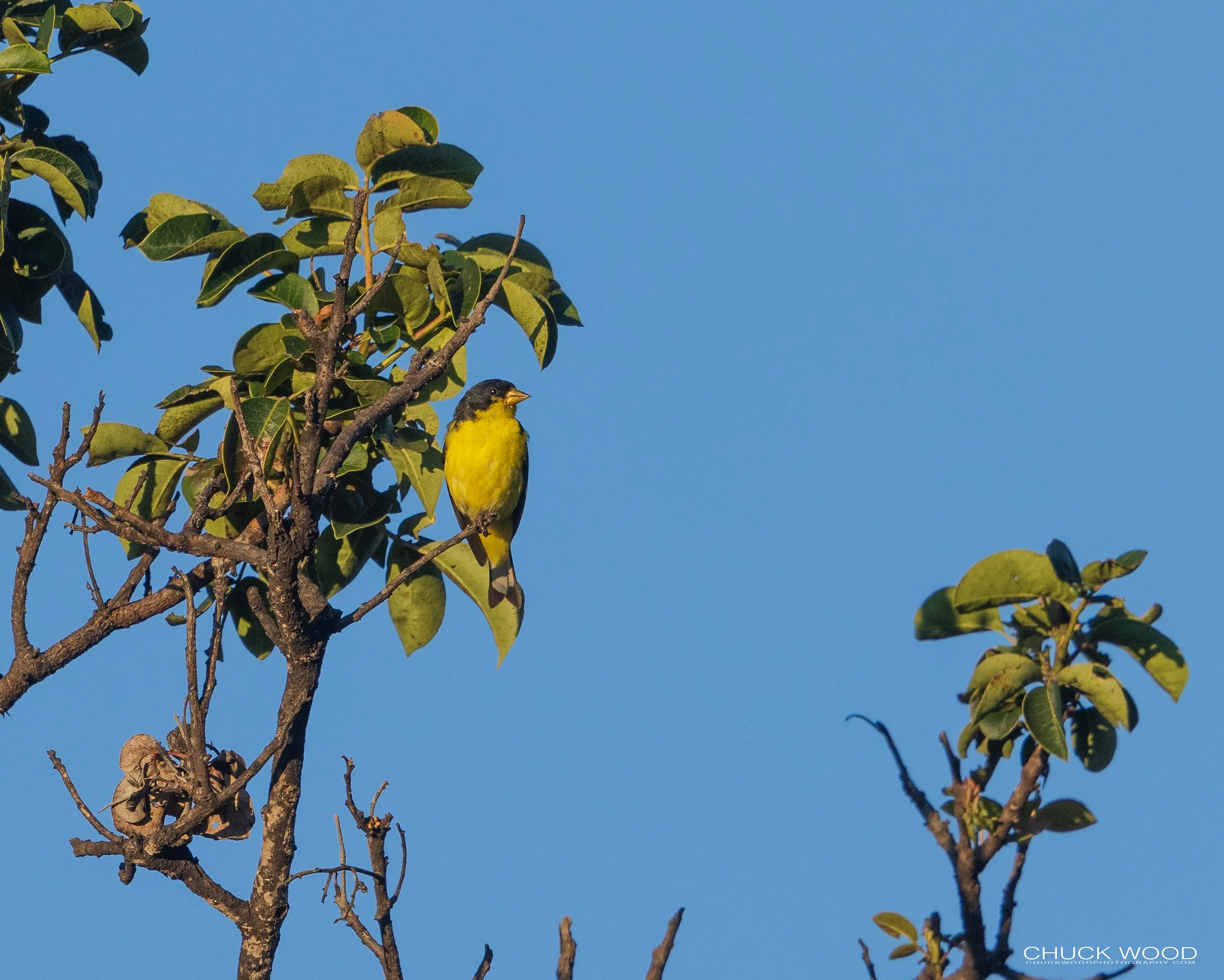  Camino Cuajimoloyas, MX 2022 
