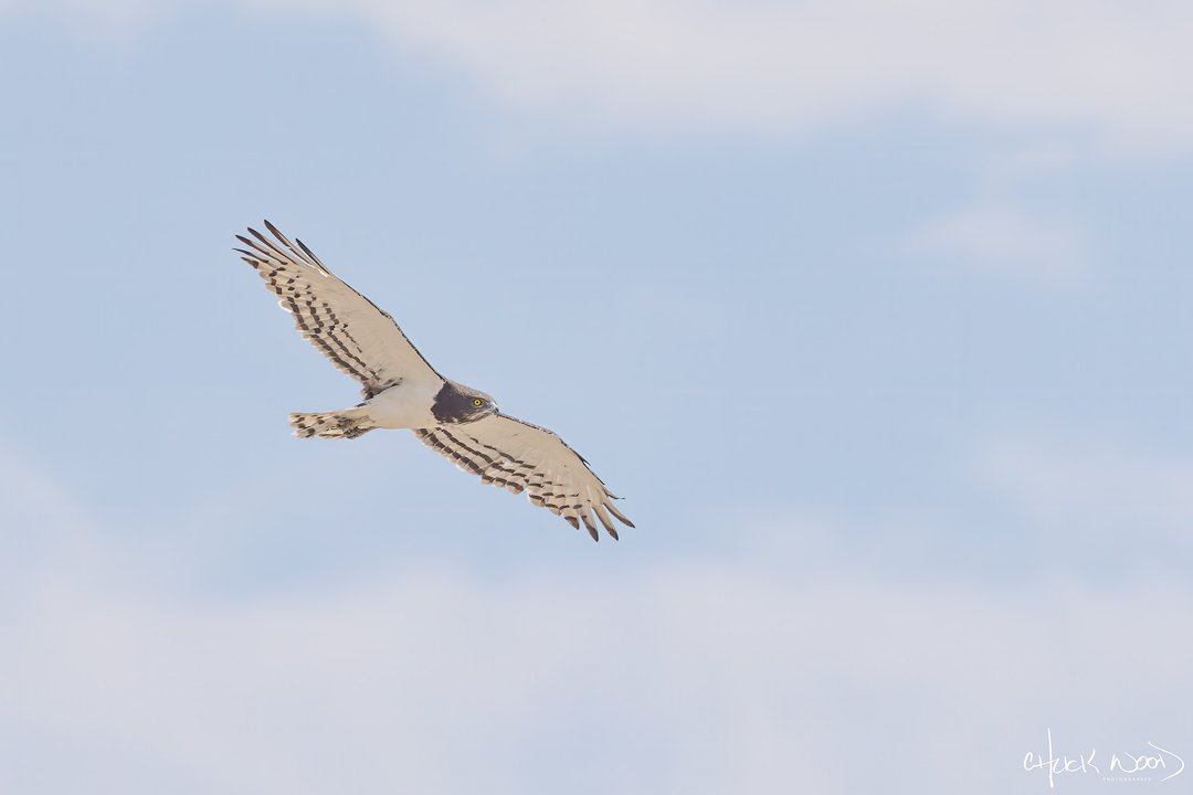  Makgadikgadi, Botswana 2024 