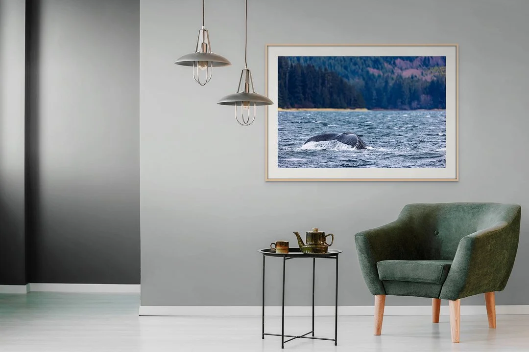 CW00305-Humpback-Tail-Sitka-2024-armchair.jpg
