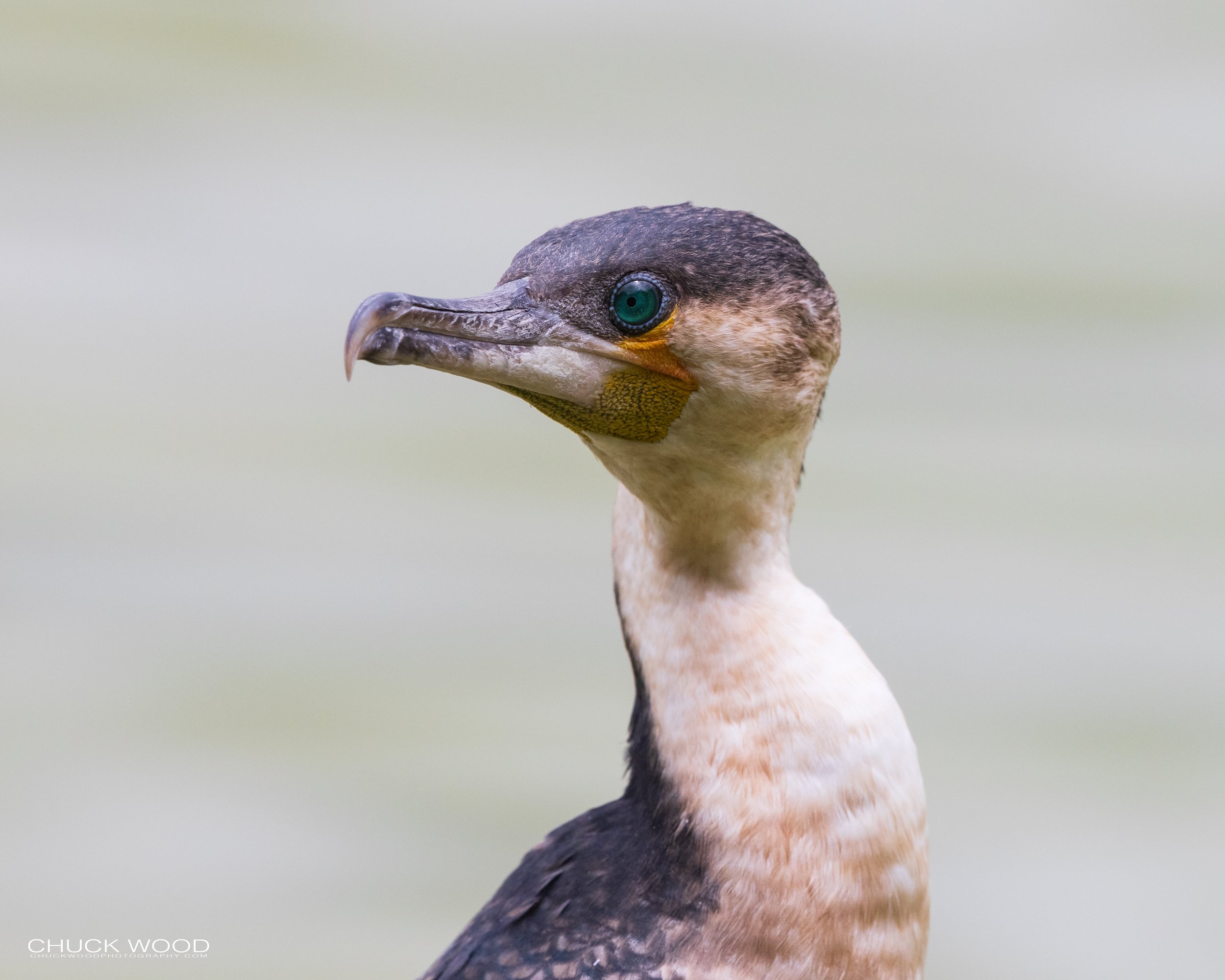  Arusha, Tanzania 2021 