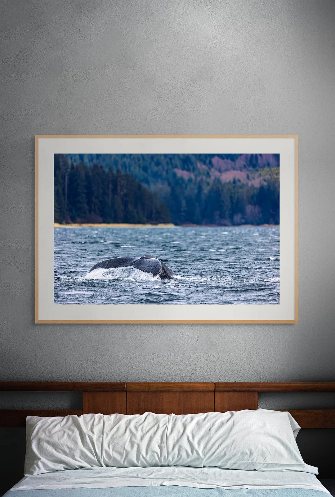 CW00305-Humpback-Tail-Sitka-2024-bed.jpg