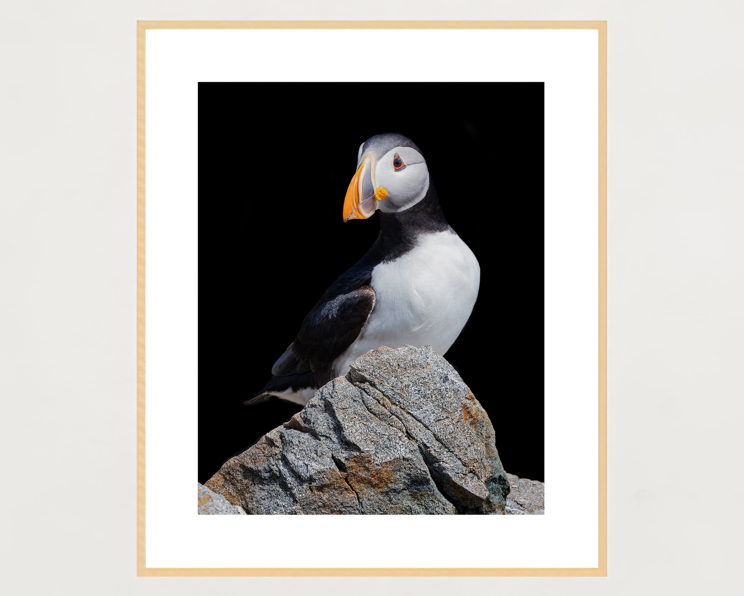 4x5-frame-portrait-maple-sharpened.jpg