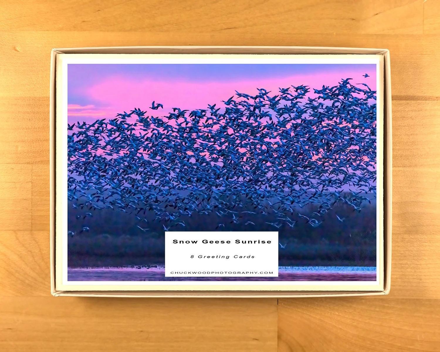 Snow-Geese-at-Dawn-product-shot-BOX-1500.jpg