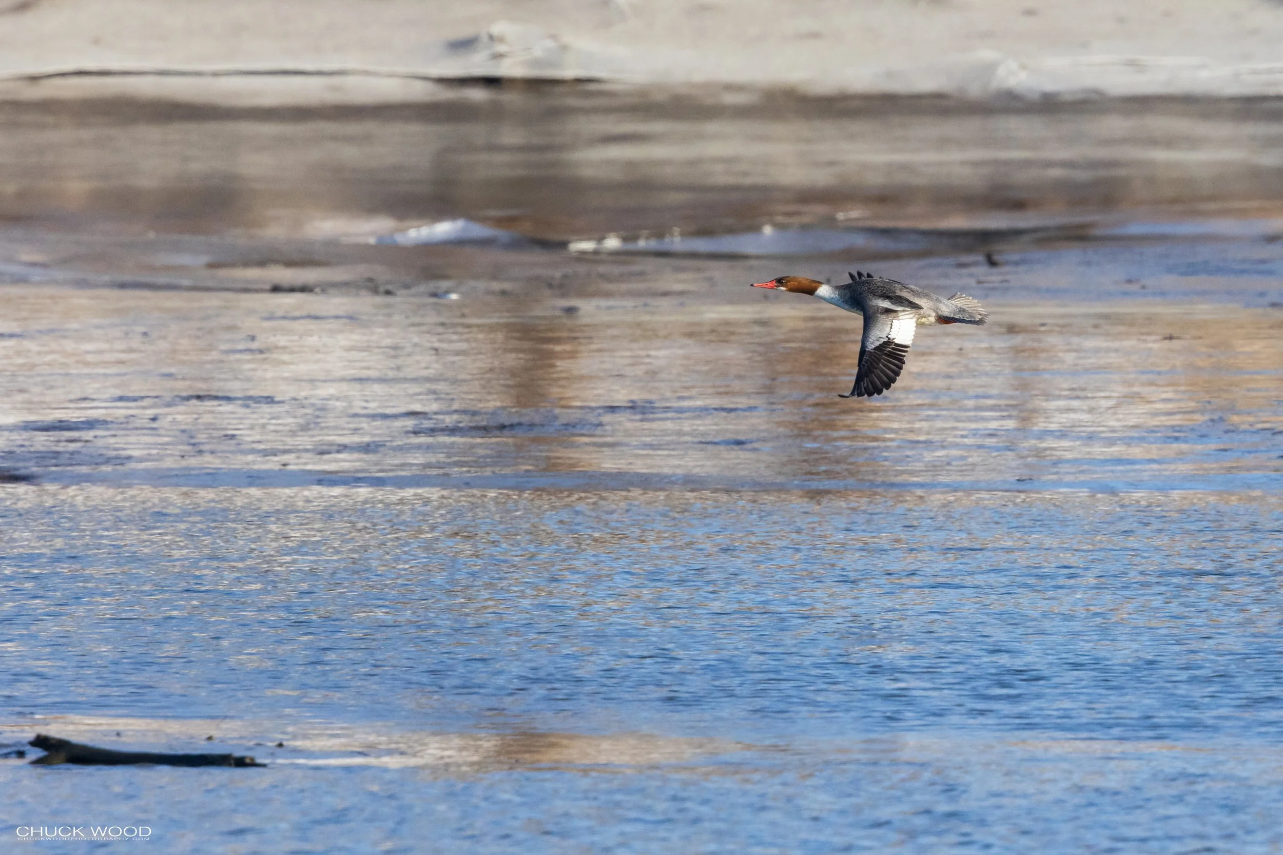  Hackensack River, NJ 2021 