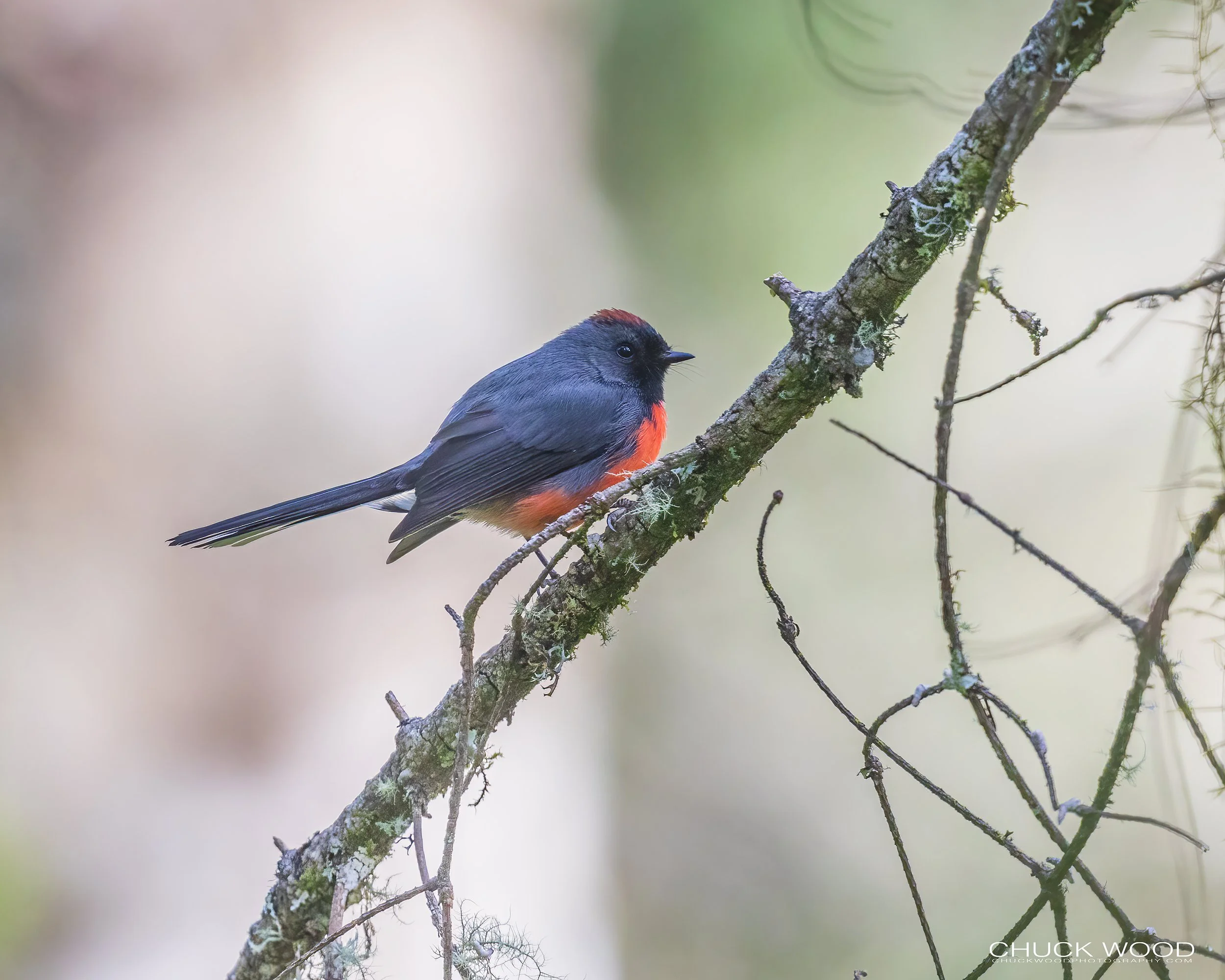  Camino La Cumbre Oaxaca, MX 2022 
