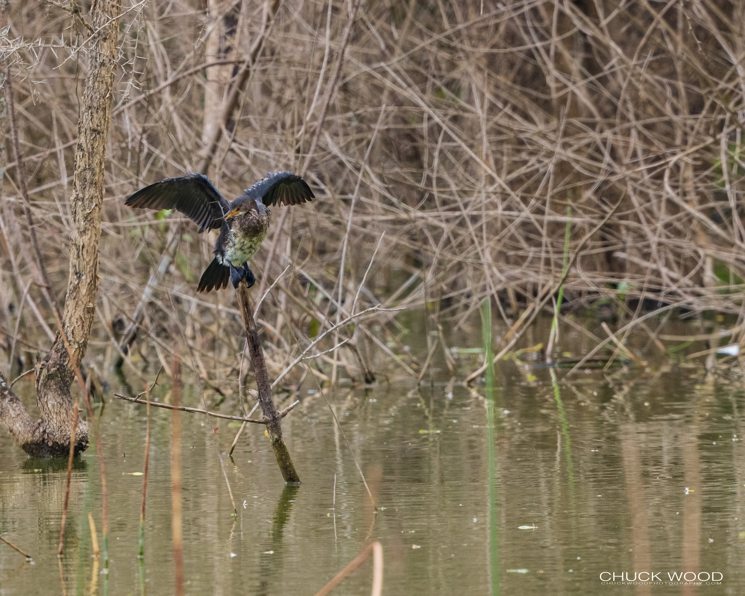  Arusha, Tanzania 2021 