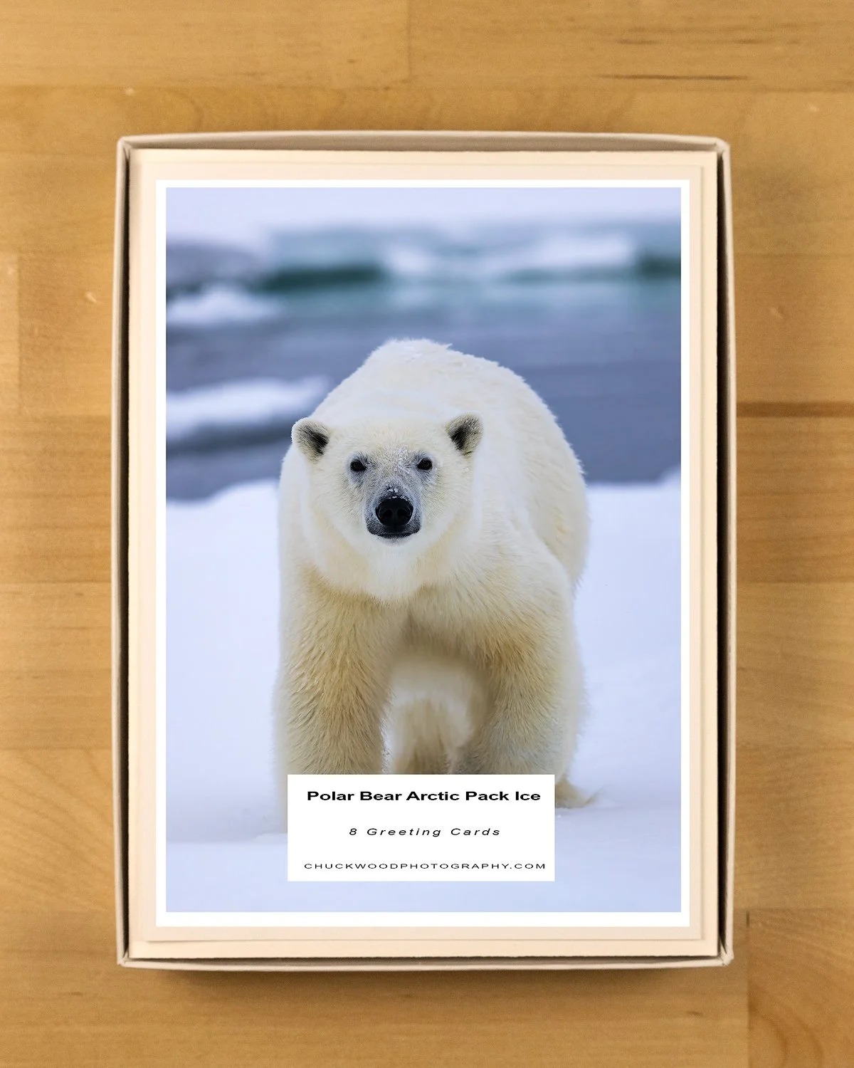 Polar-Bear-Arctic-Pack-Ice-Boxed-Set-product-shot-BOX-1500.jpg