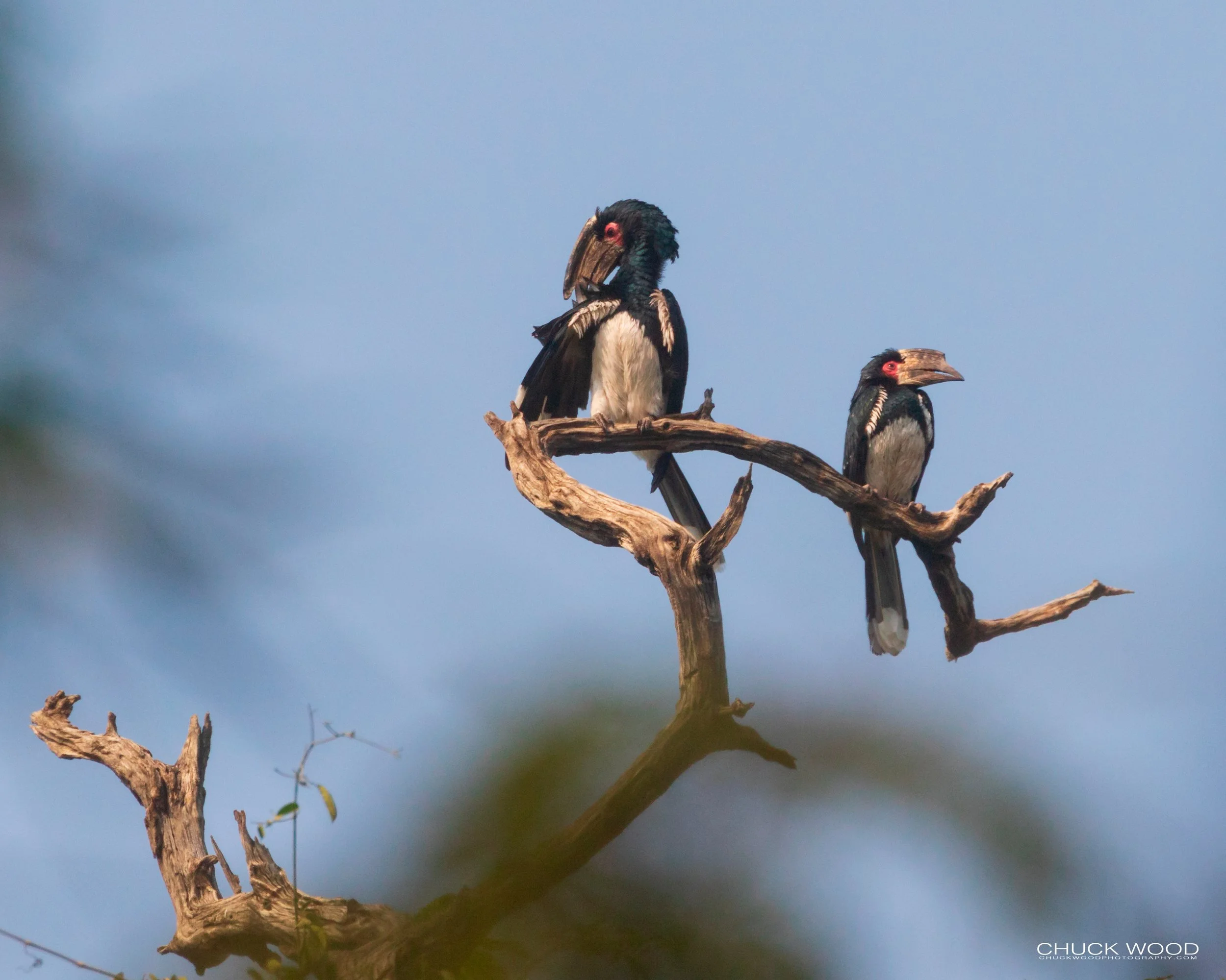  Victoria Falls, Zimbabwe 2019 