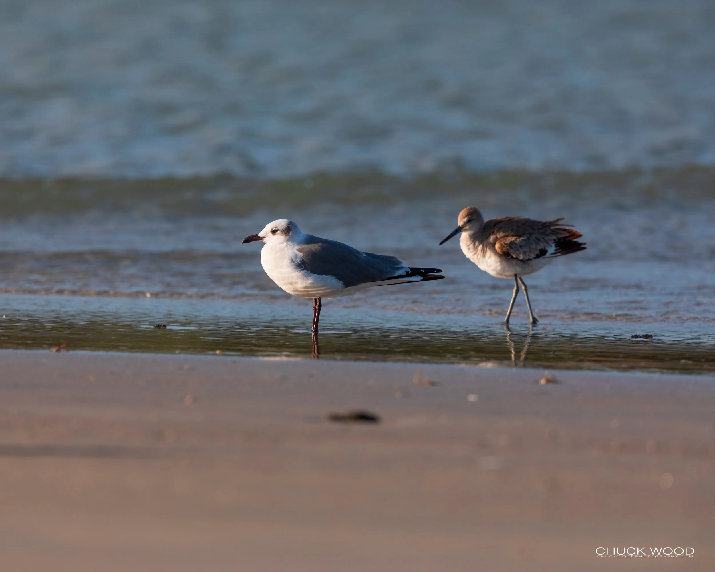  Sebastian Inlet, FL 2020 