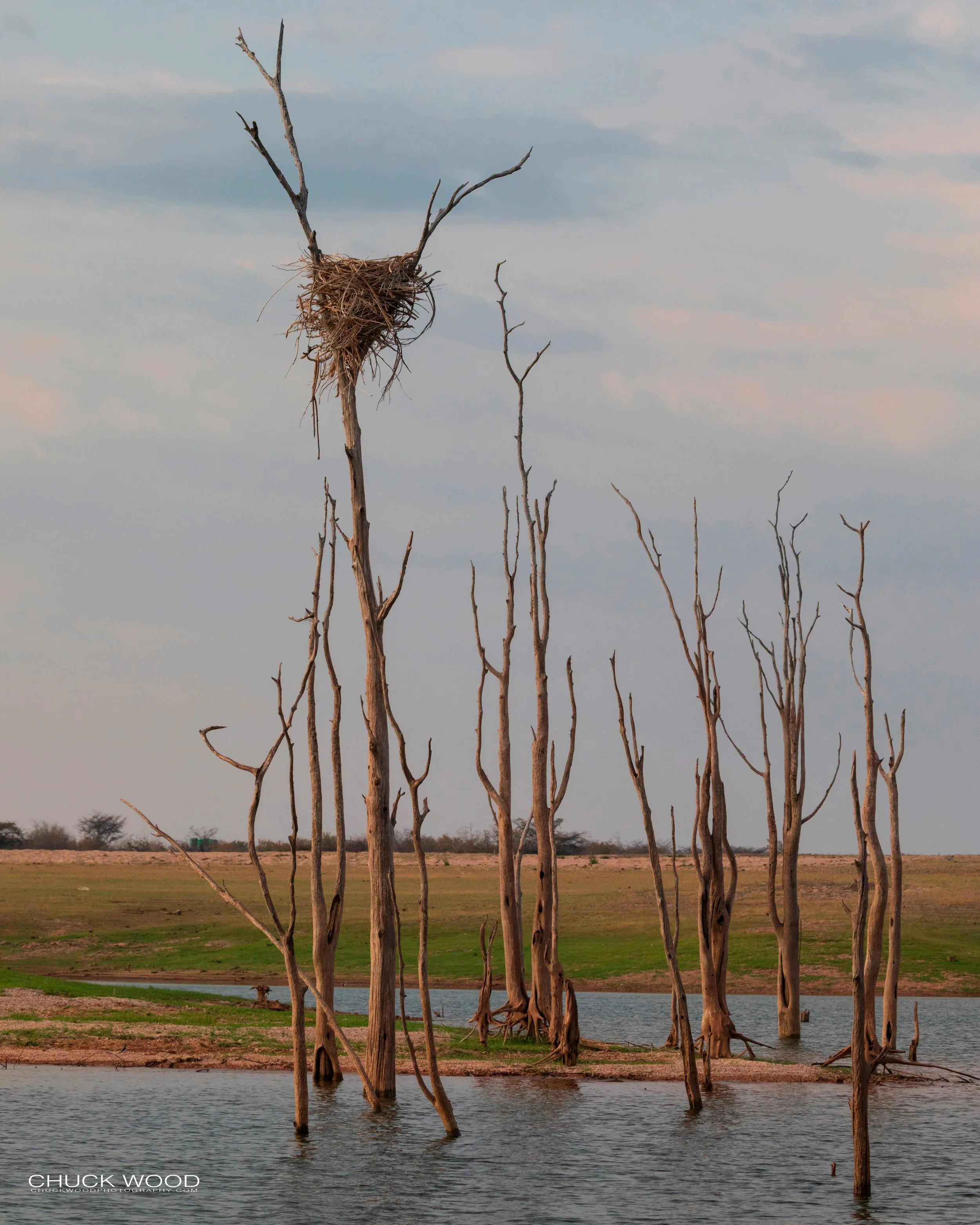  Lake Kariba, Zimbabwe 2019 (Nest) 