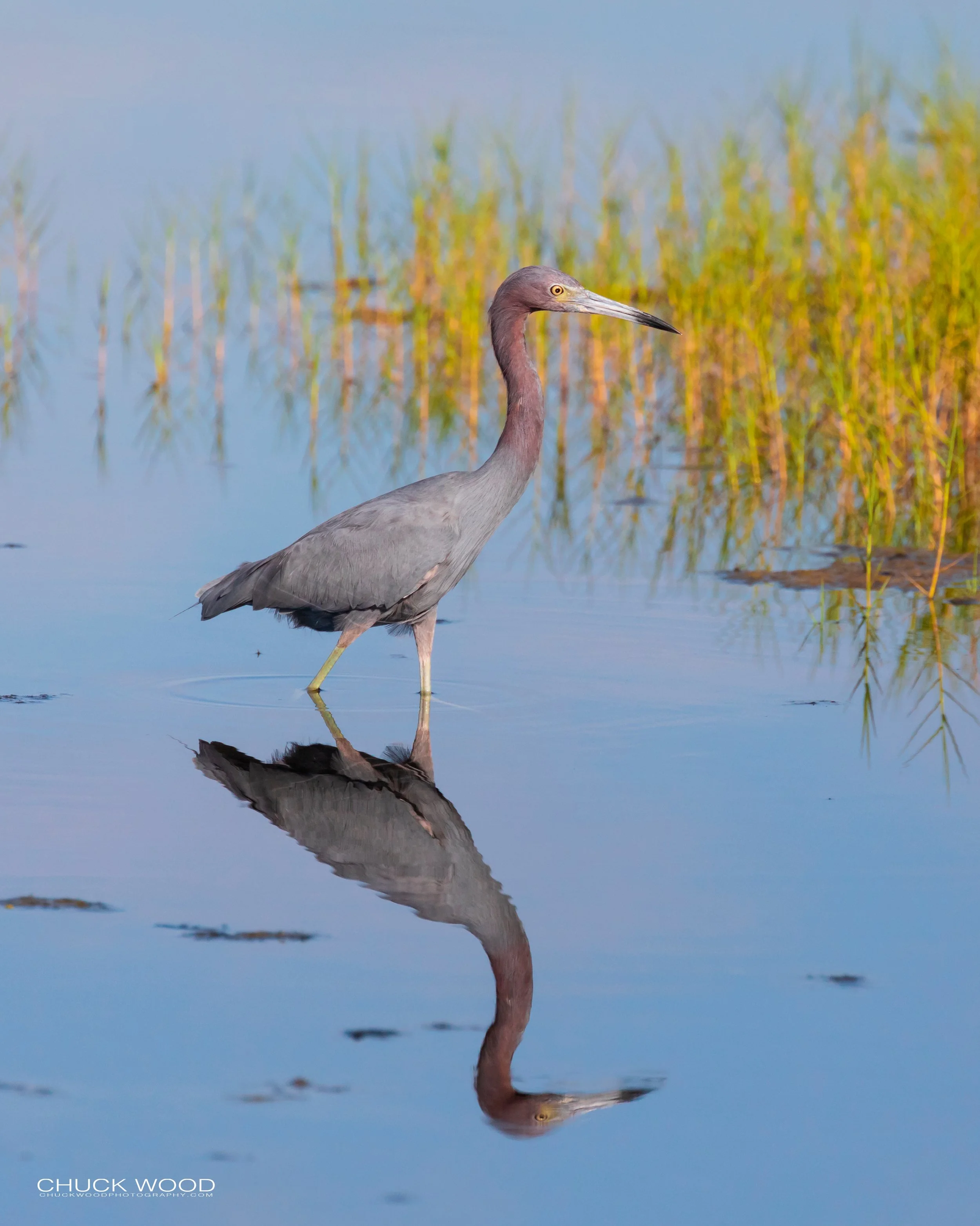  Merritt Island, FL 2019 
