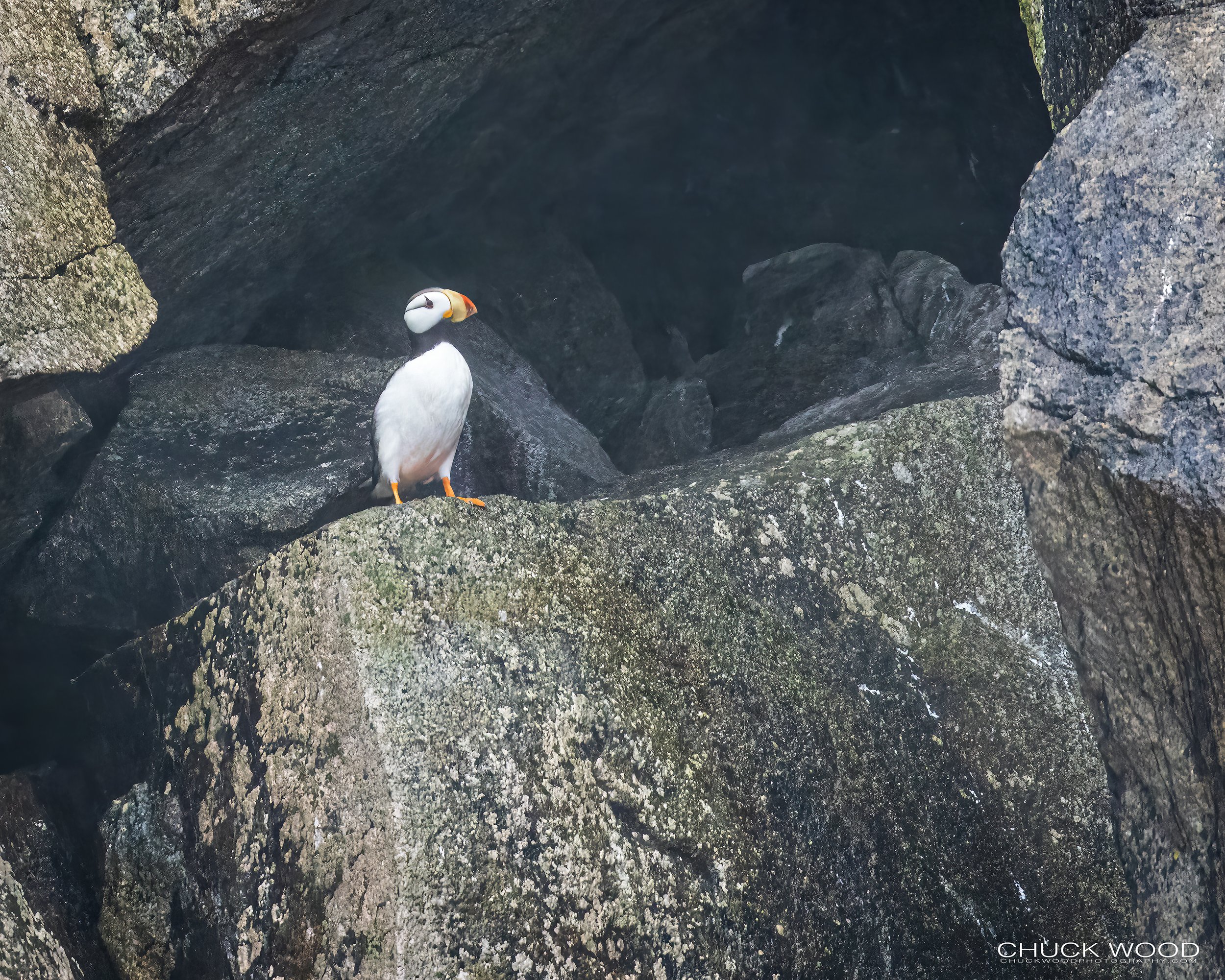   Resurection Bay, AK 2022 