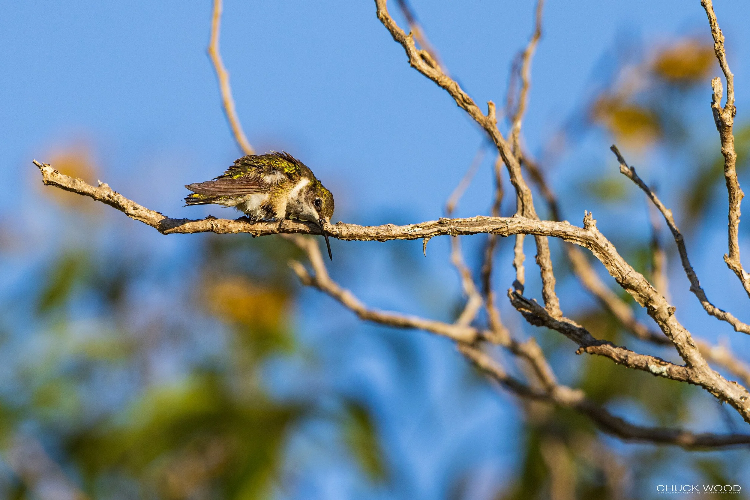  Camino Cuajimoloyas, MX 2022 
