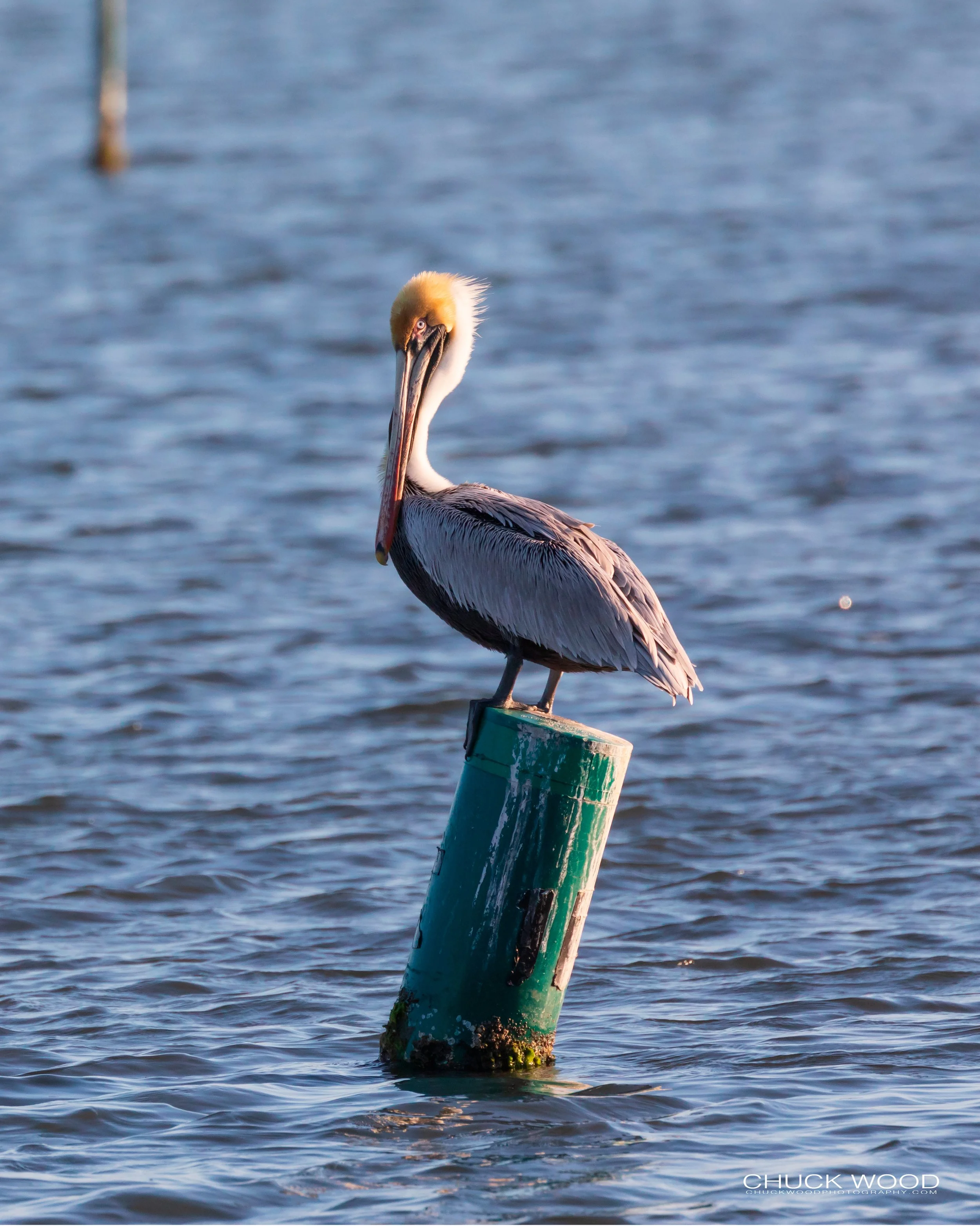  Vero Beach, FL 2019 