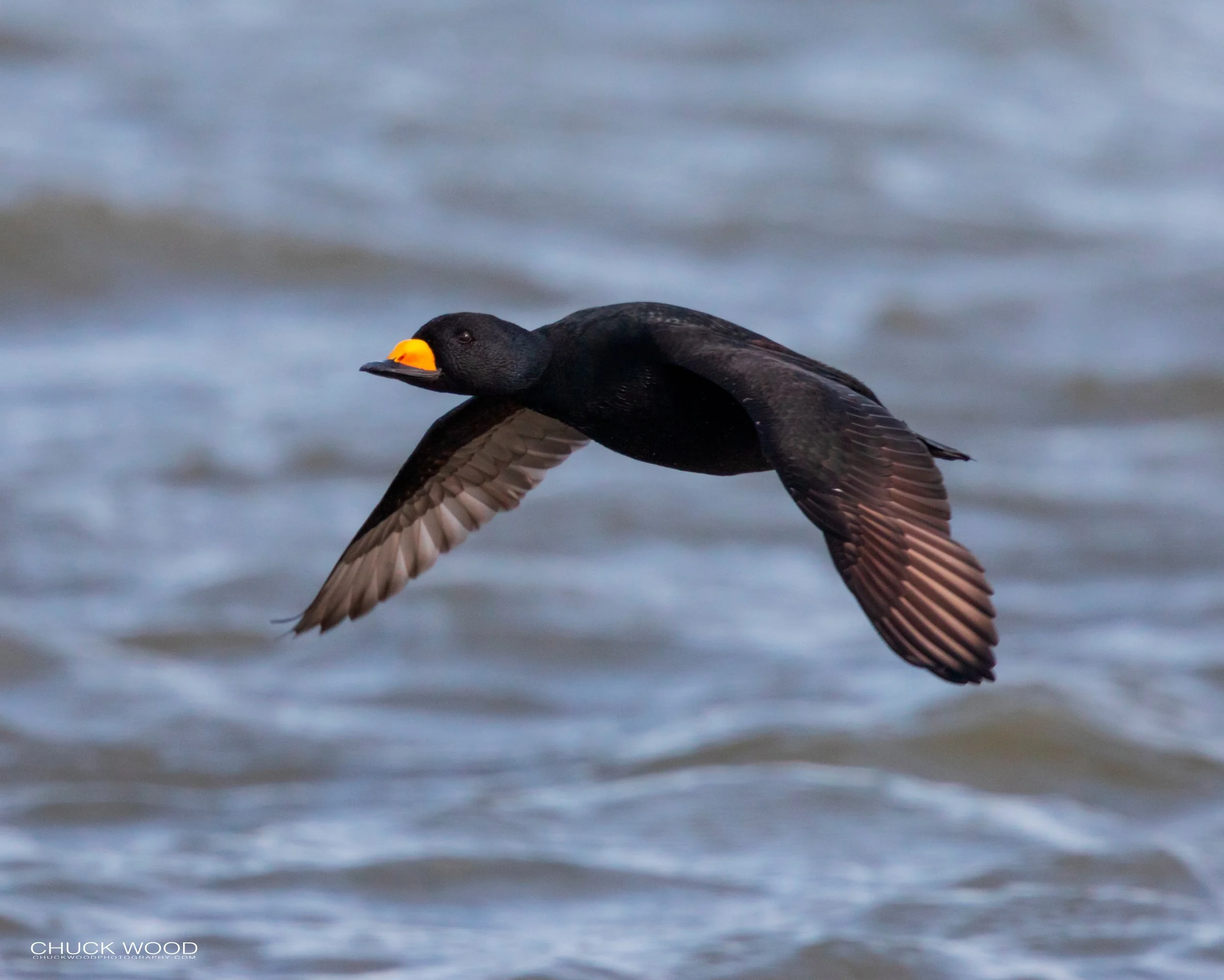  Barnegat Lighthouse, NJ 2020 