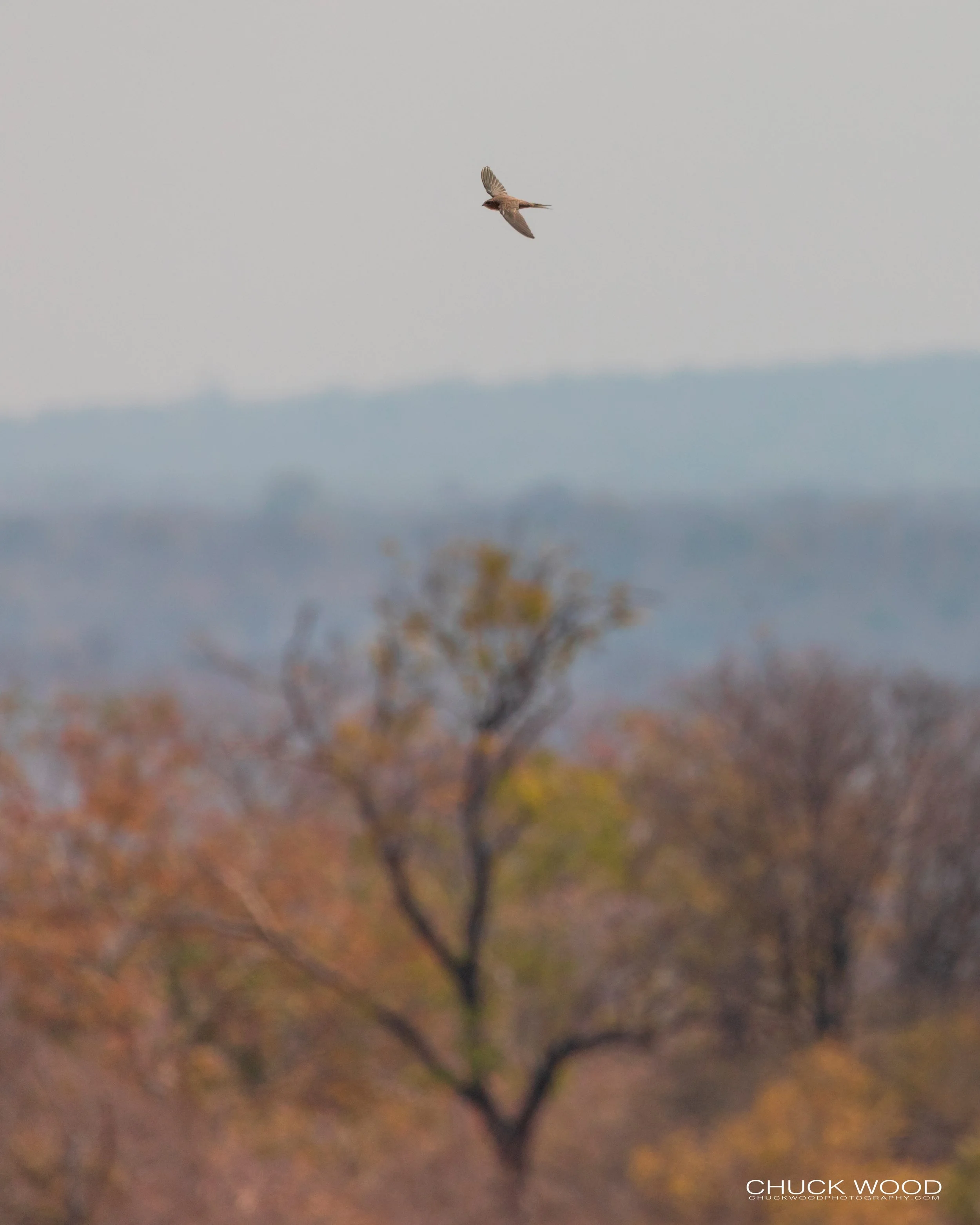  Victoria Falls, Zimbabwe 2019 
