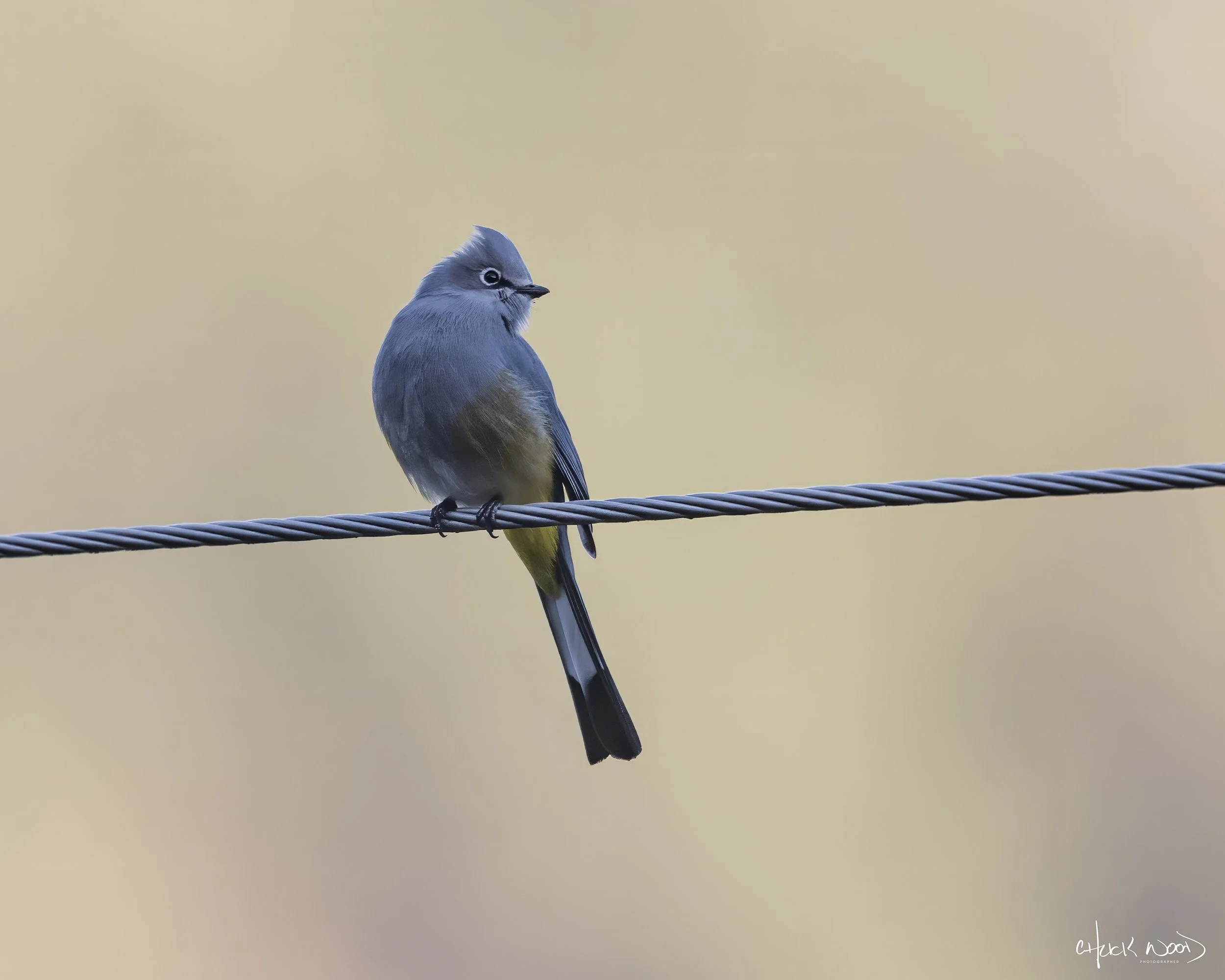  Arroyo Guacamaya, MX 2022 