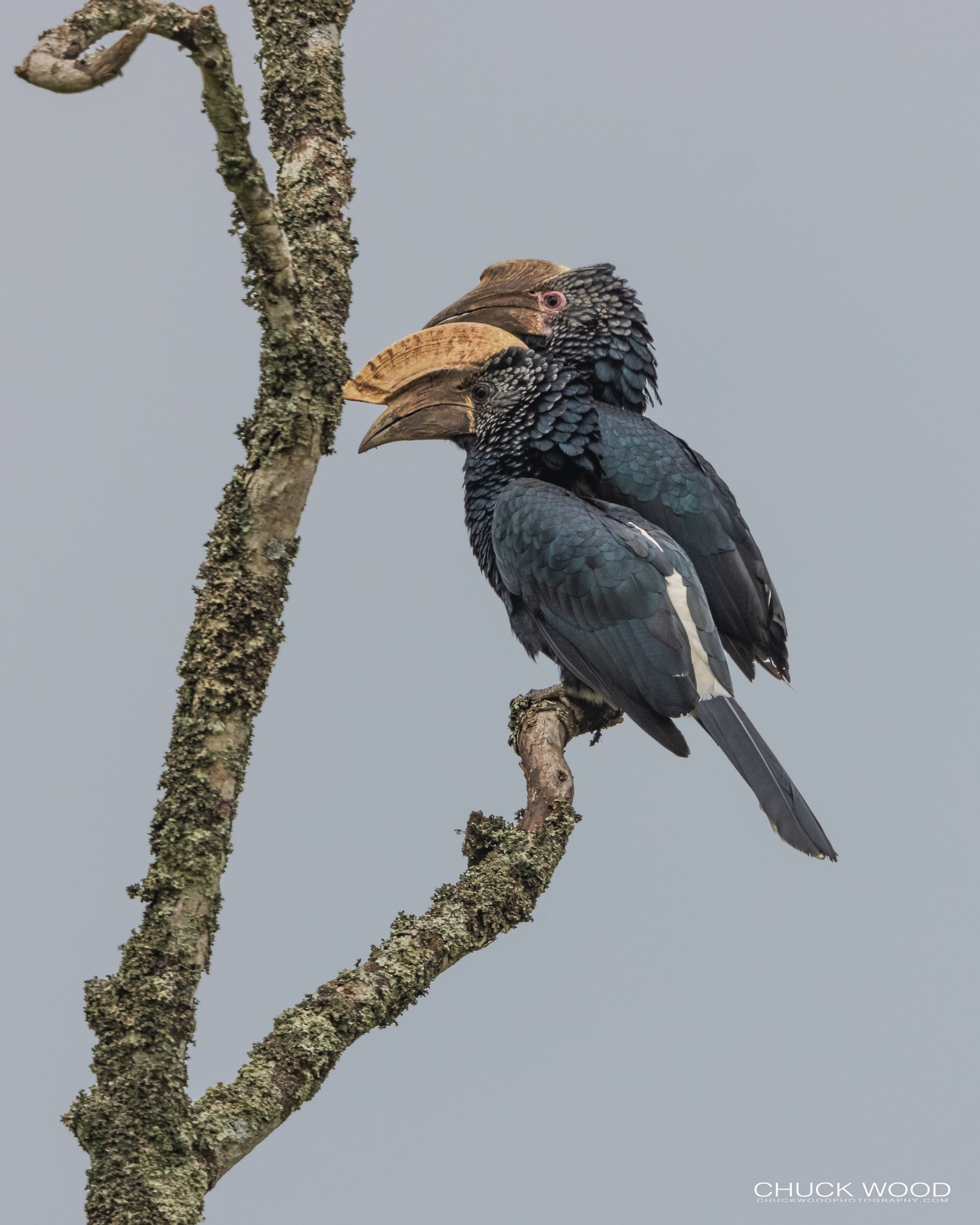  Arusha, Tanzania 2021 