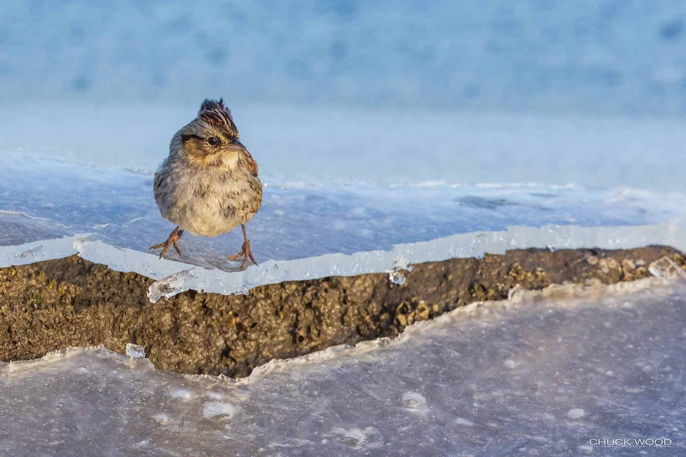 Hackensack River, NJ 2021