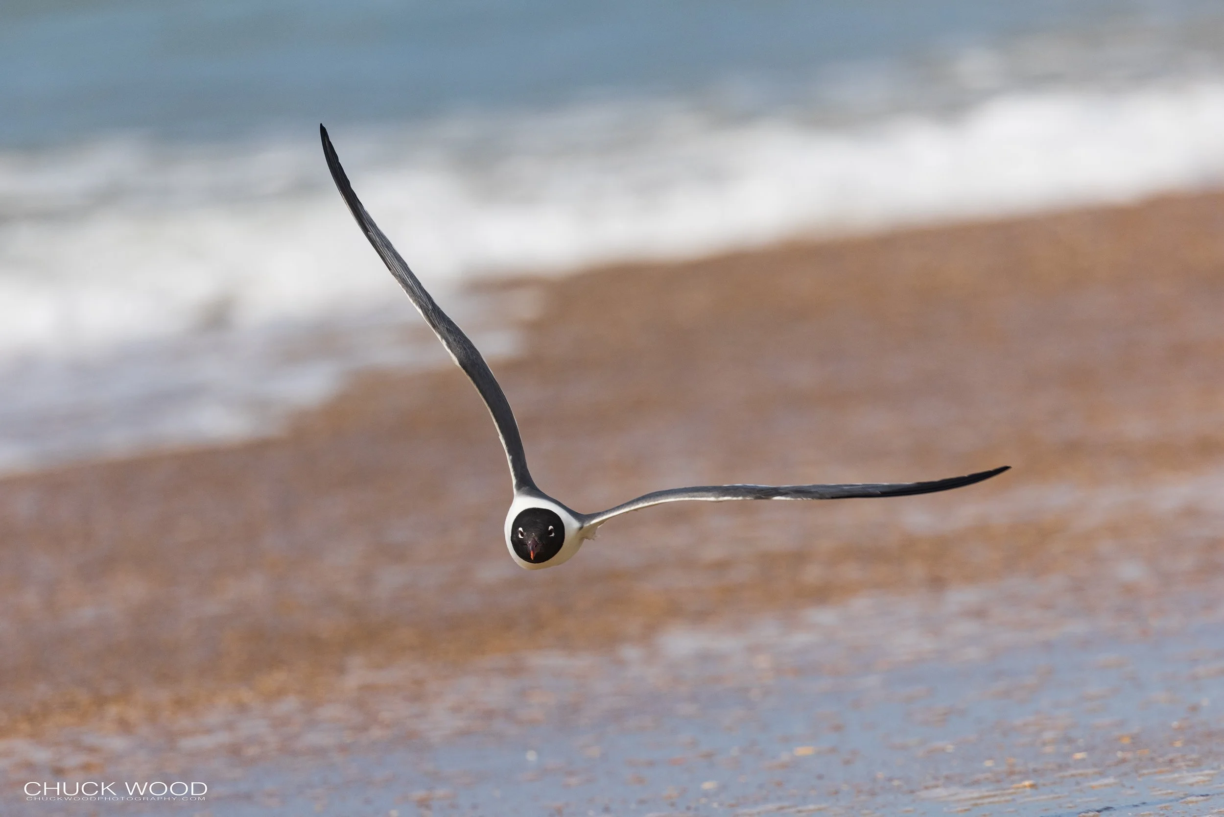  Cape Hatteras, NC 2022 