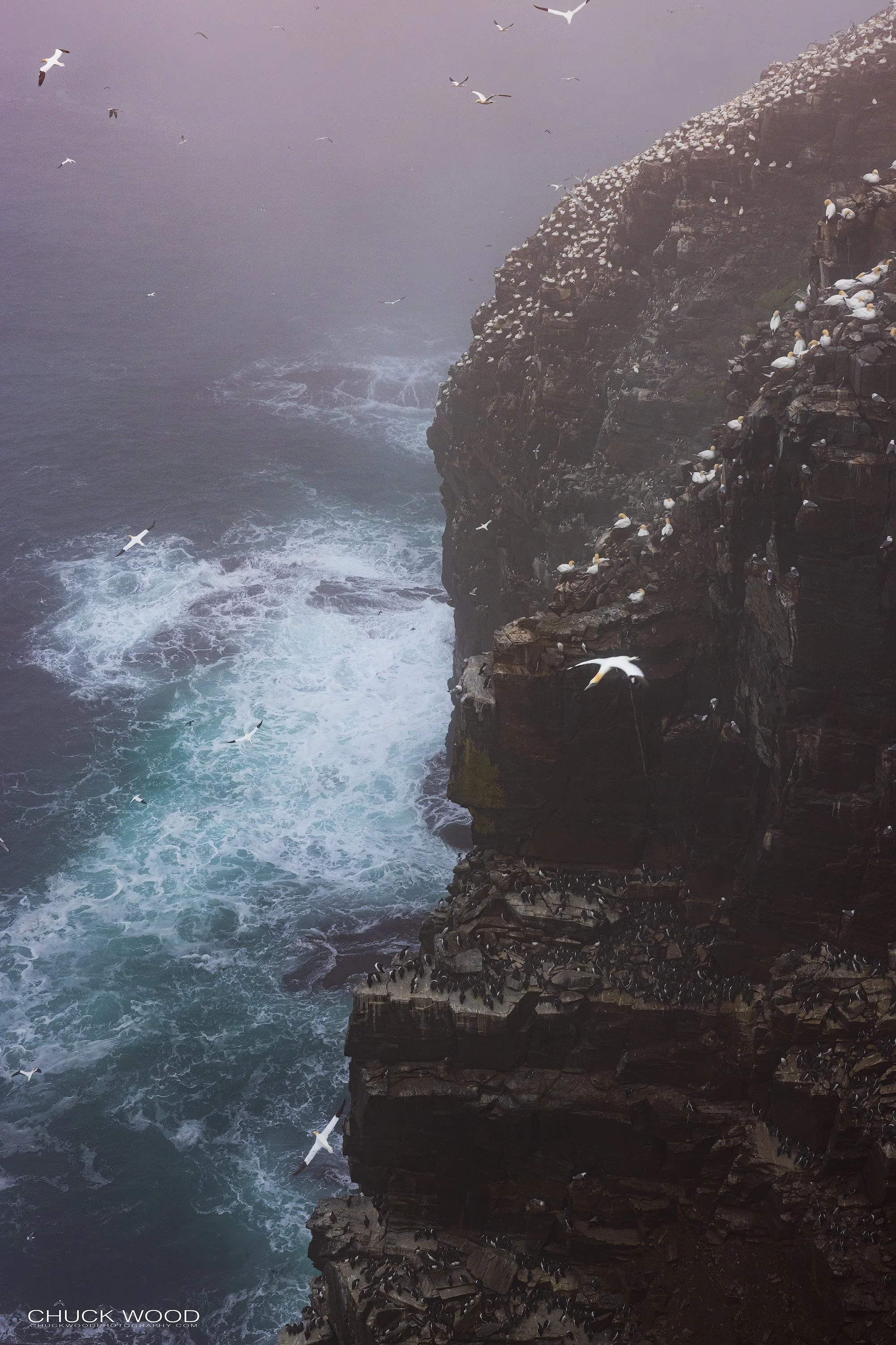  Cape St. Marys, NL 2022 