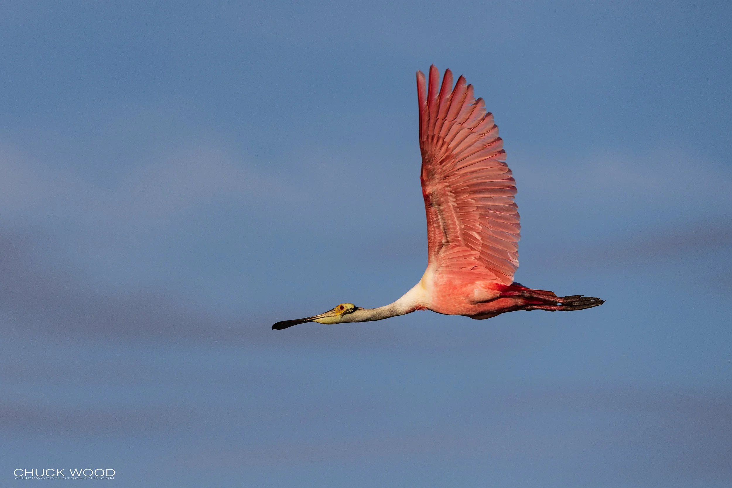  Stick Marsh, FL 2022 