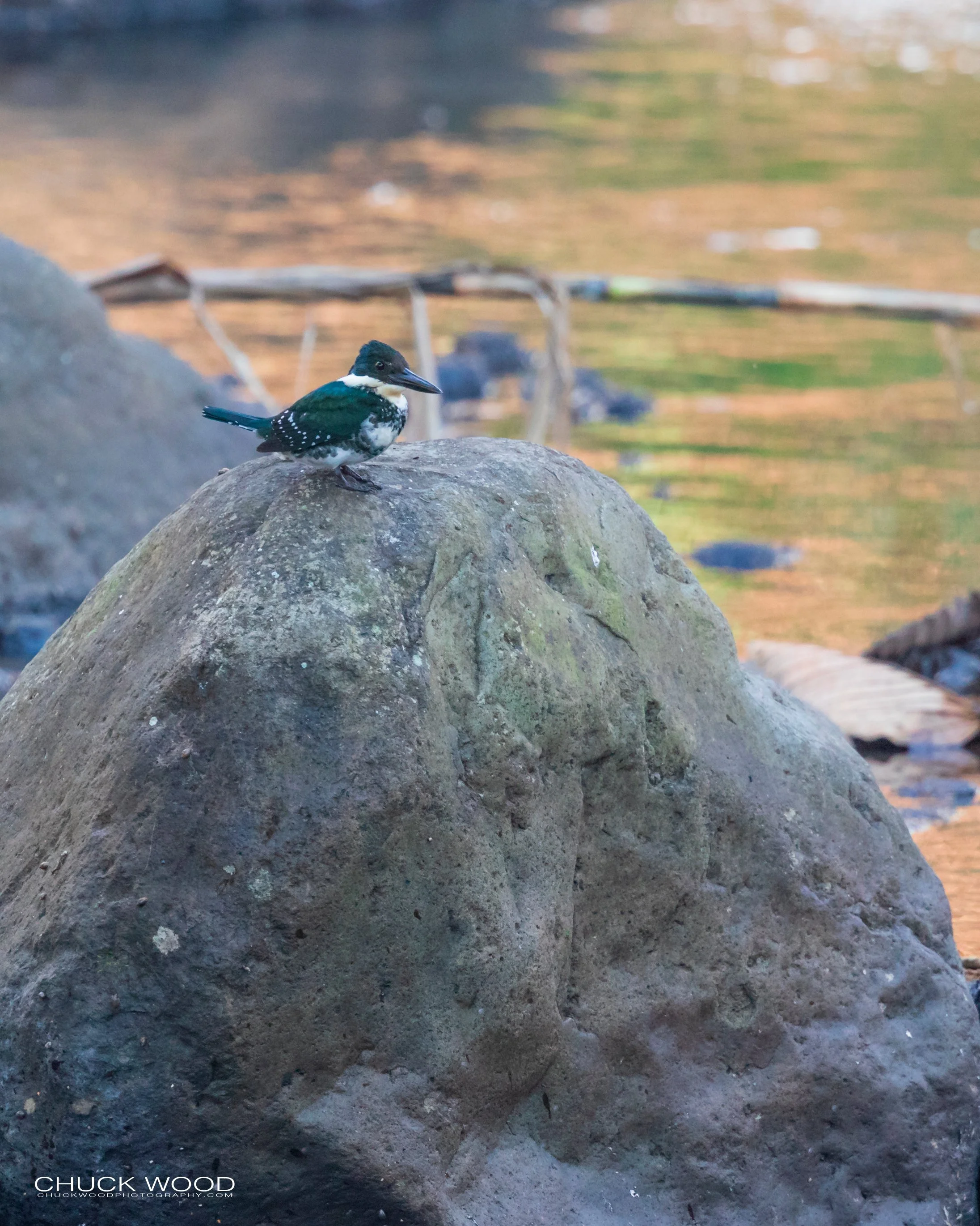  Tuis River Valley, Costa Rica 2020 