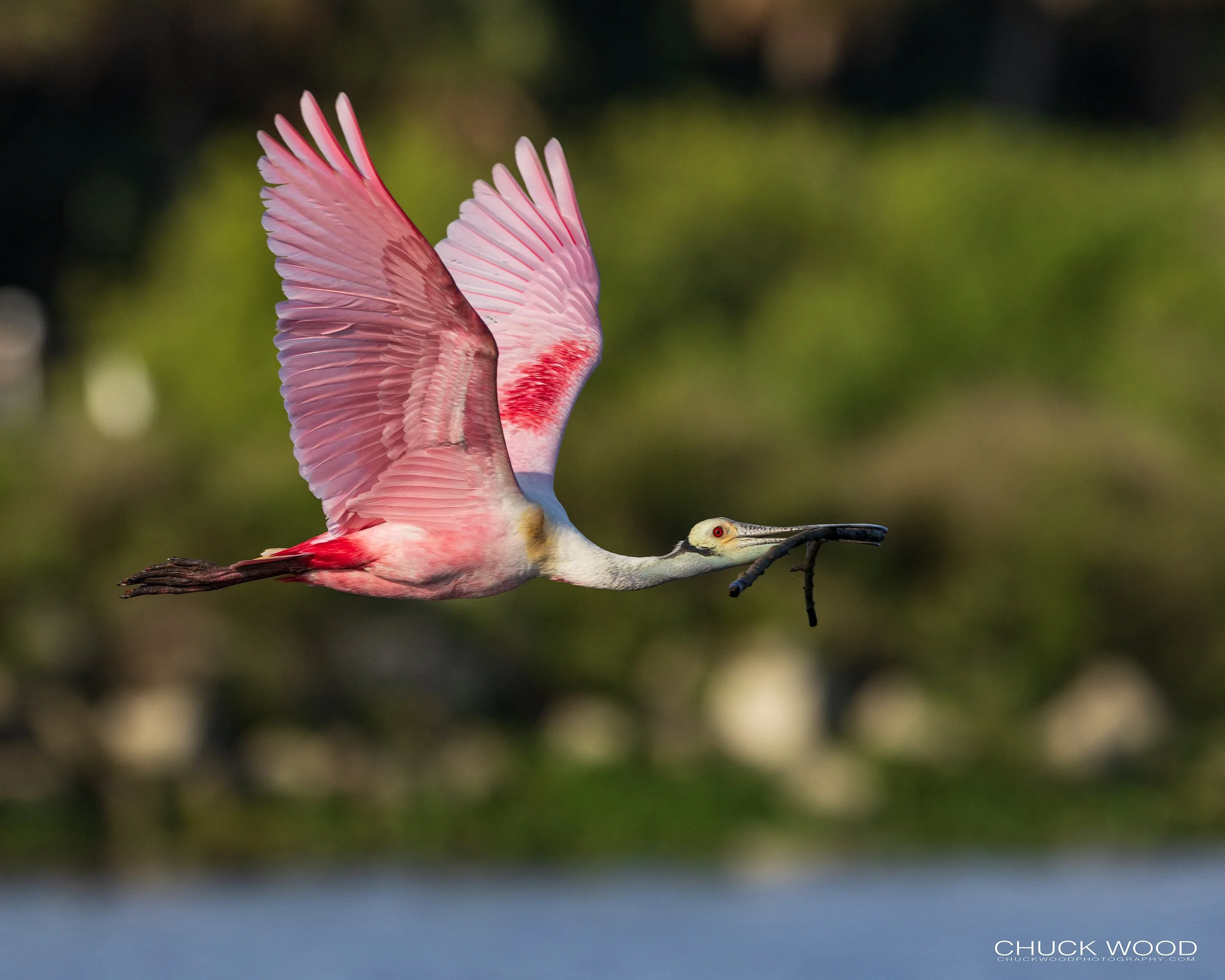  Stick Marsh, FL 2022 