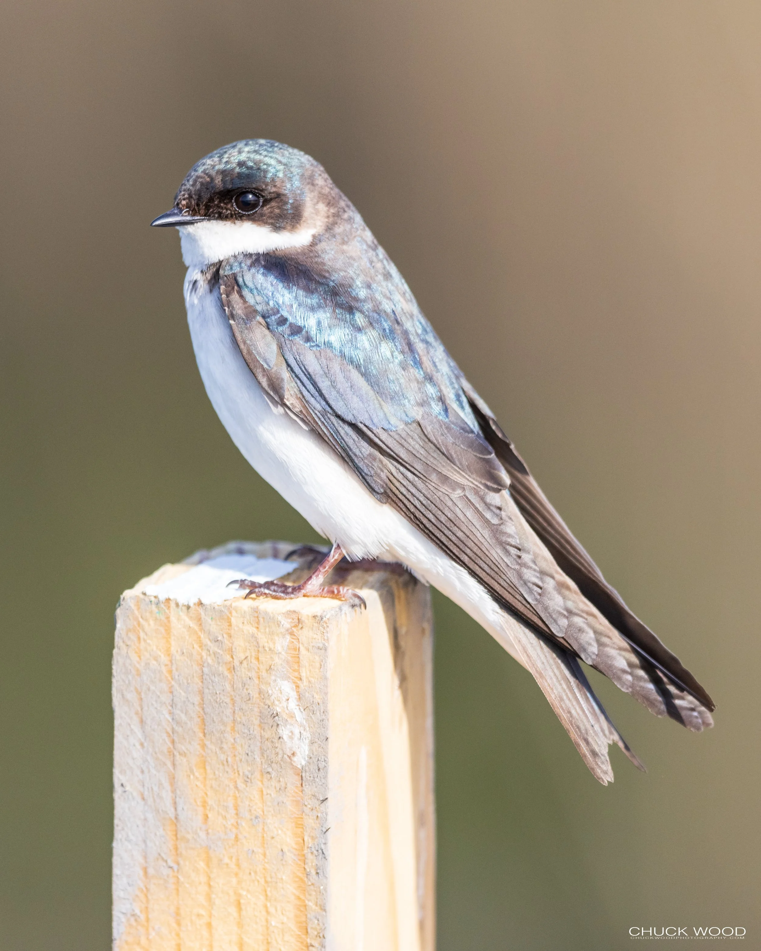  Dekorte Park, NJ 2021 