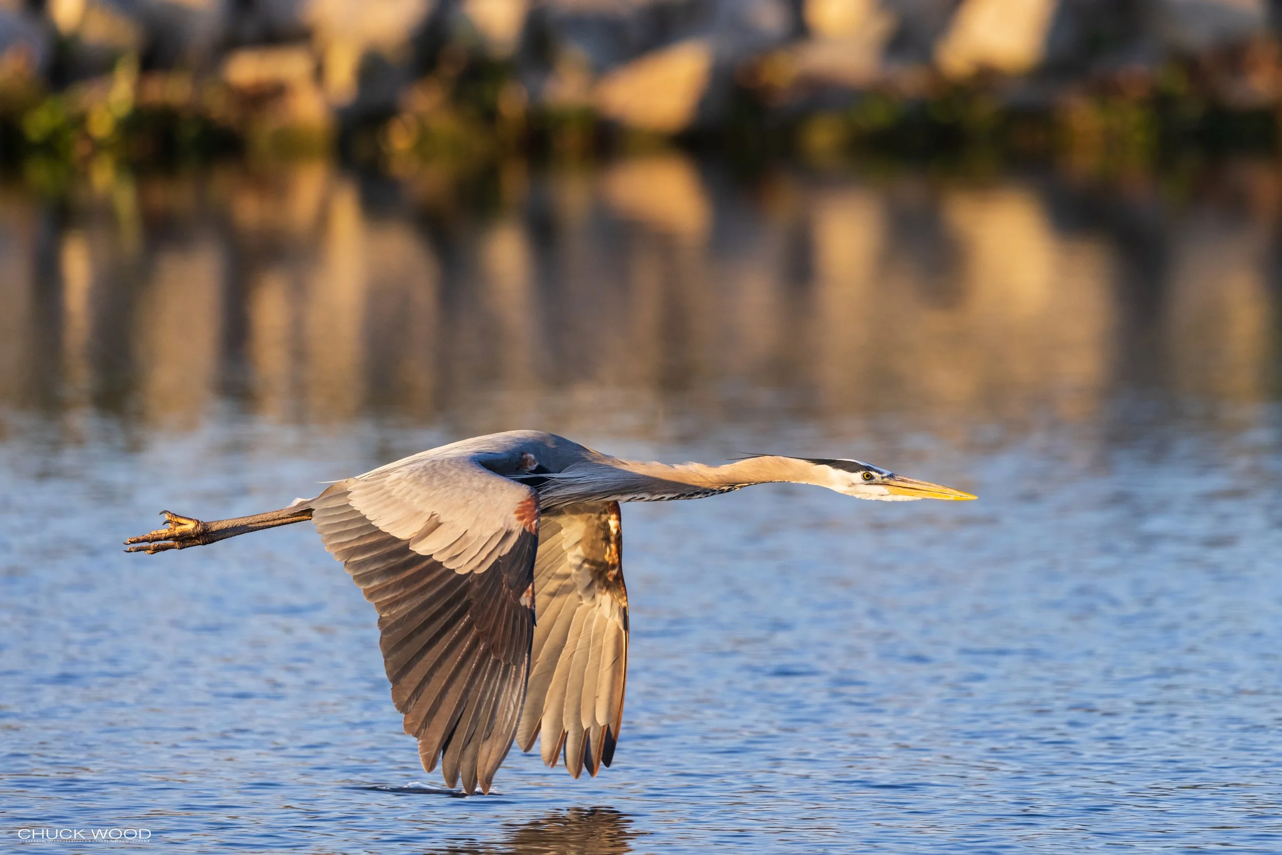  Stick Marsh, FL 2021 