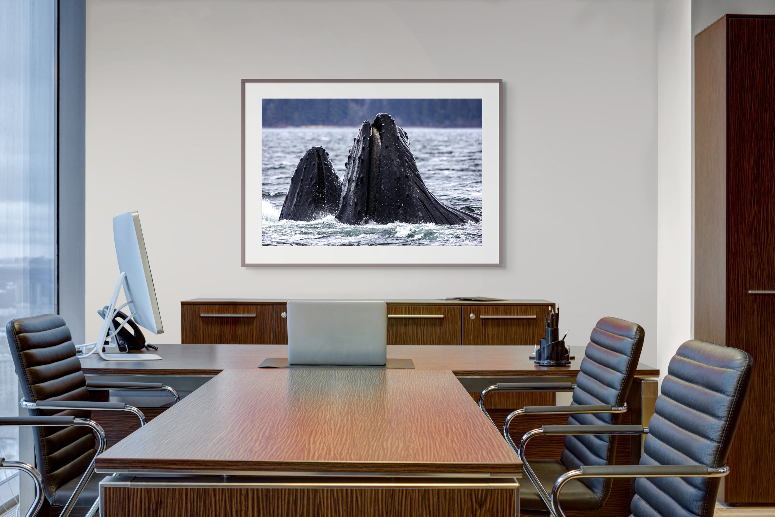 sitka-humpbacks-office.jpg