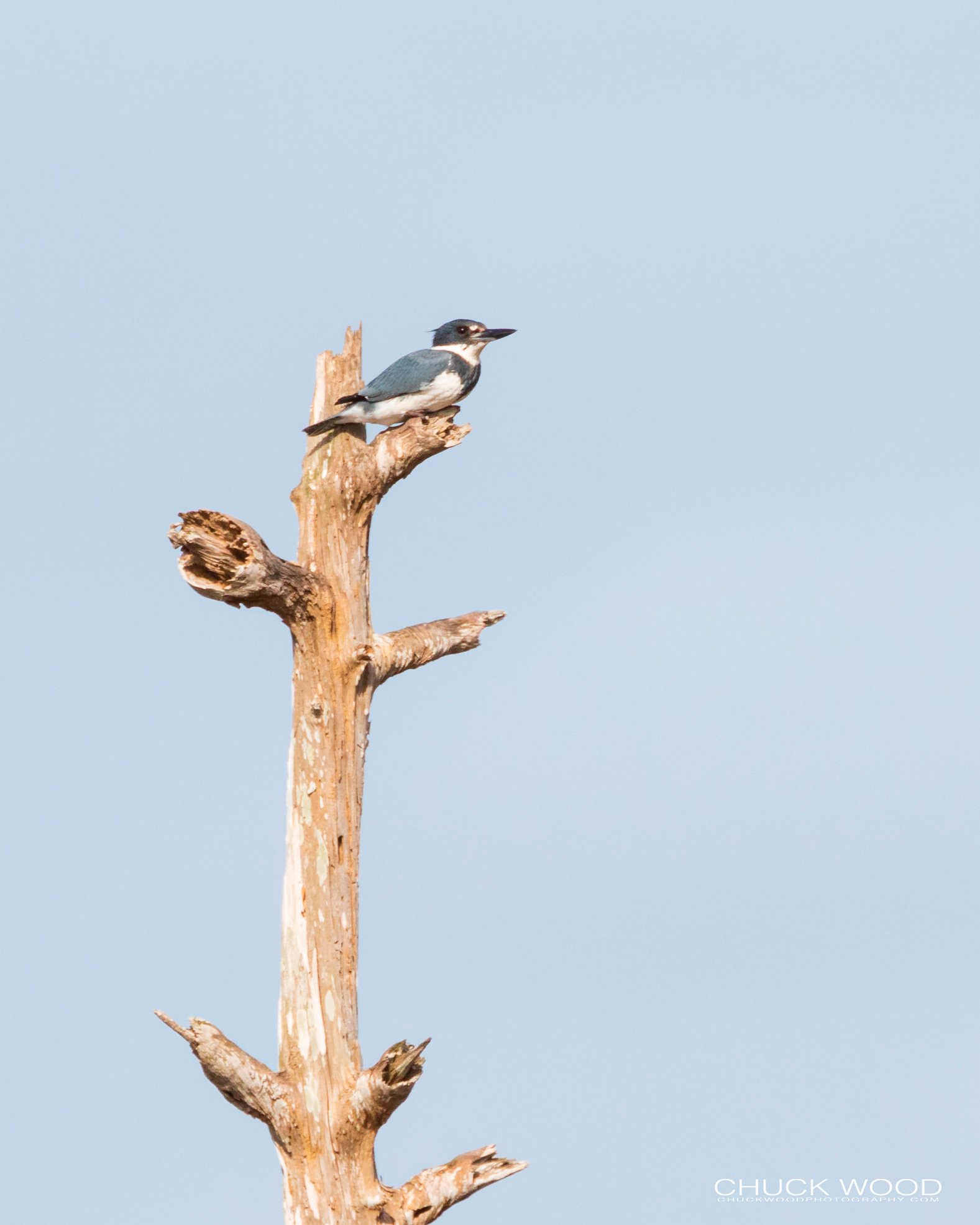  Viera Wetlands, FL 2020 