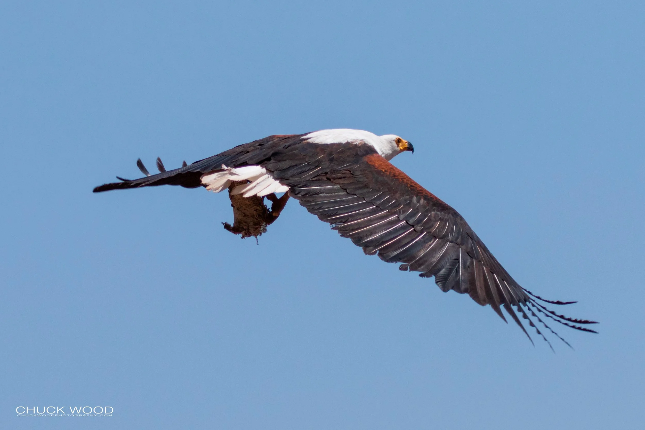  Lake Kariba, Zimbabwe 2019 