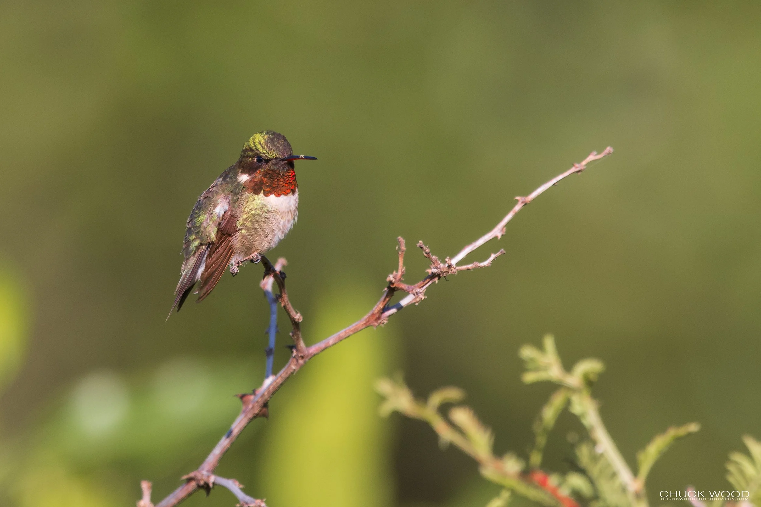  Camino Cuajimoloyas, MX 2022 