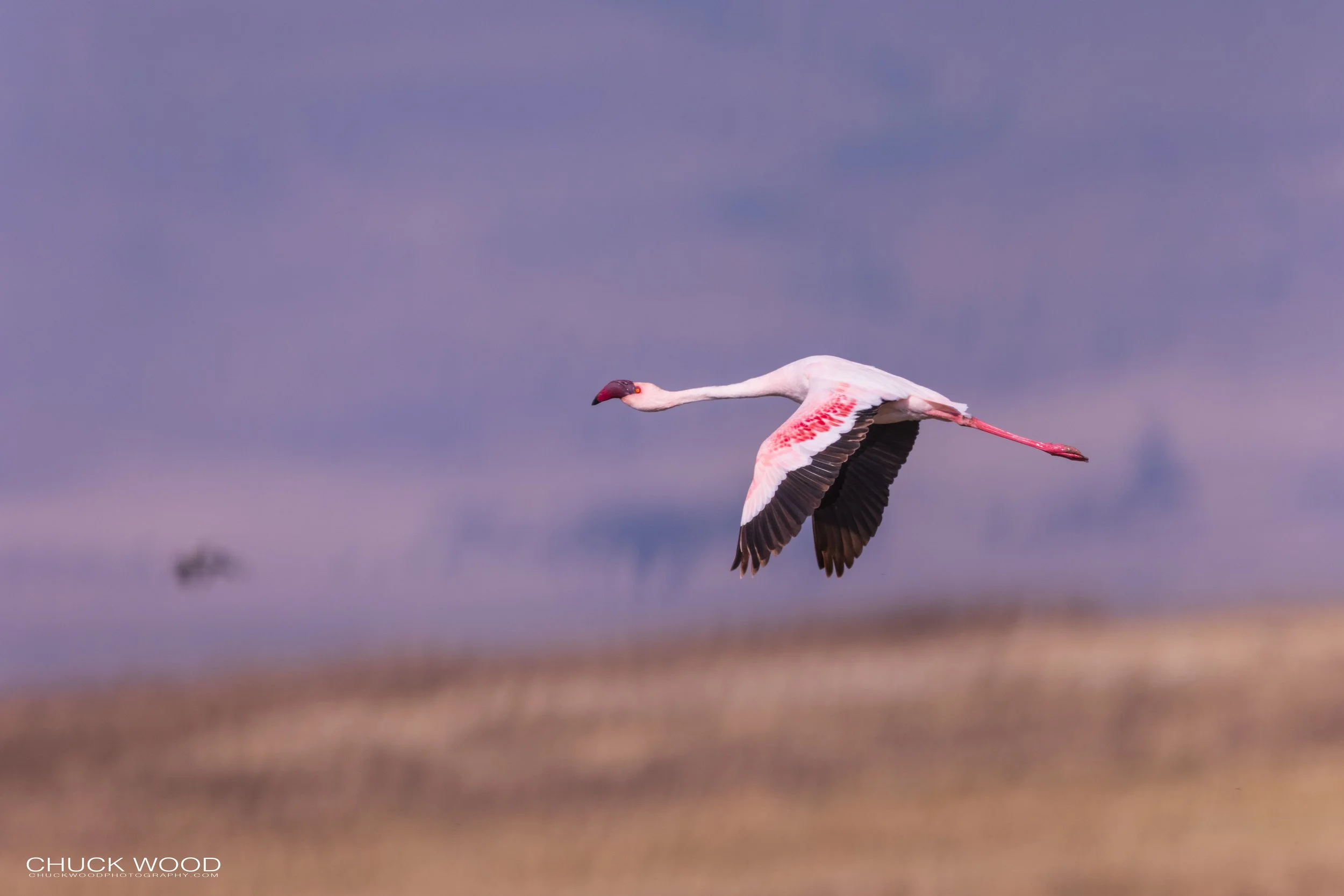  Ngorongoro Crater, Tanzania 2021 